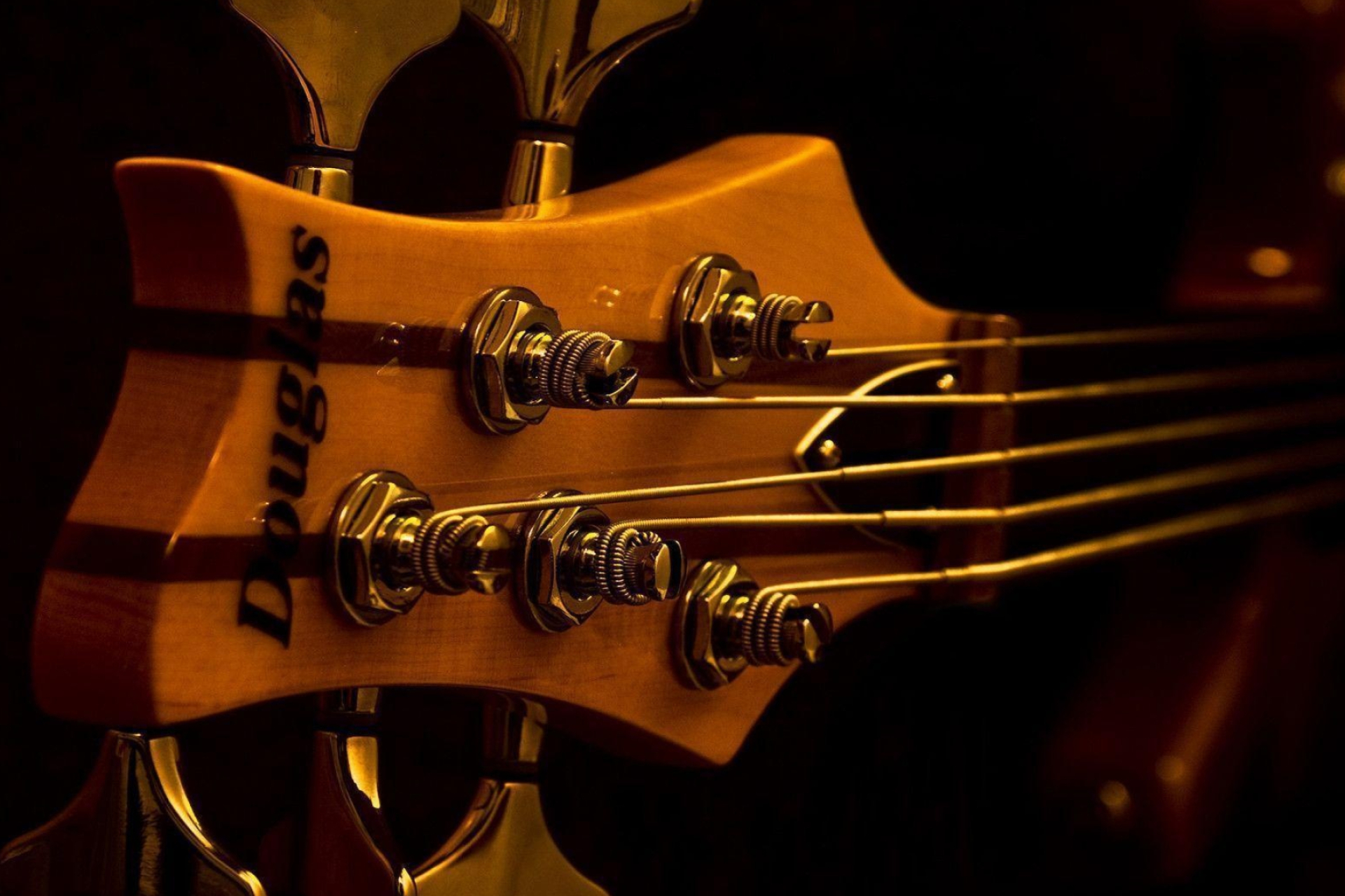 Headstock, String Bass Guitars Wallpaper, 1920x1280 HD Desktop