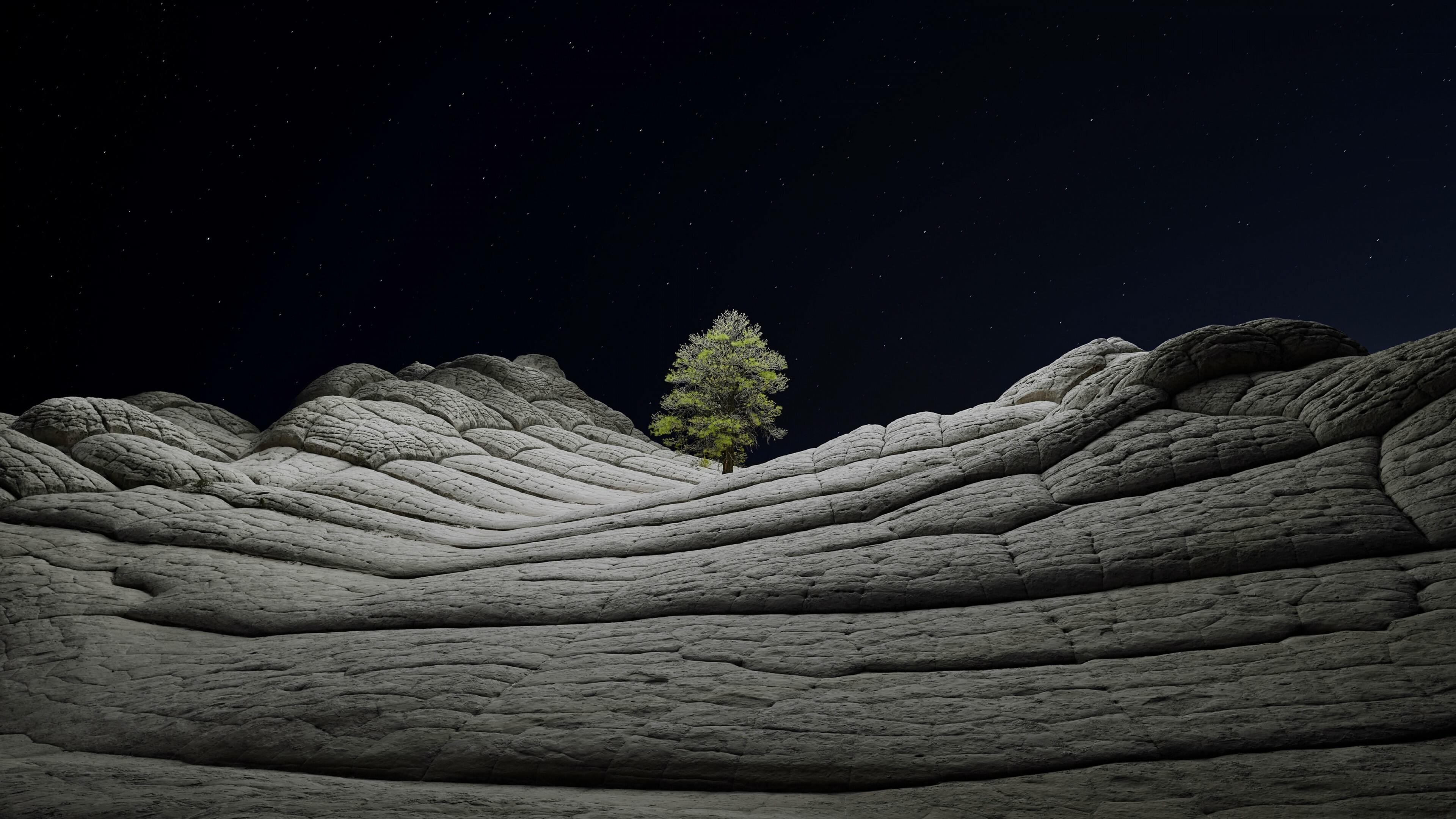 Tree, Nature, iOS 14. 2, Desert Tree, 3840x2160 4K Desktop