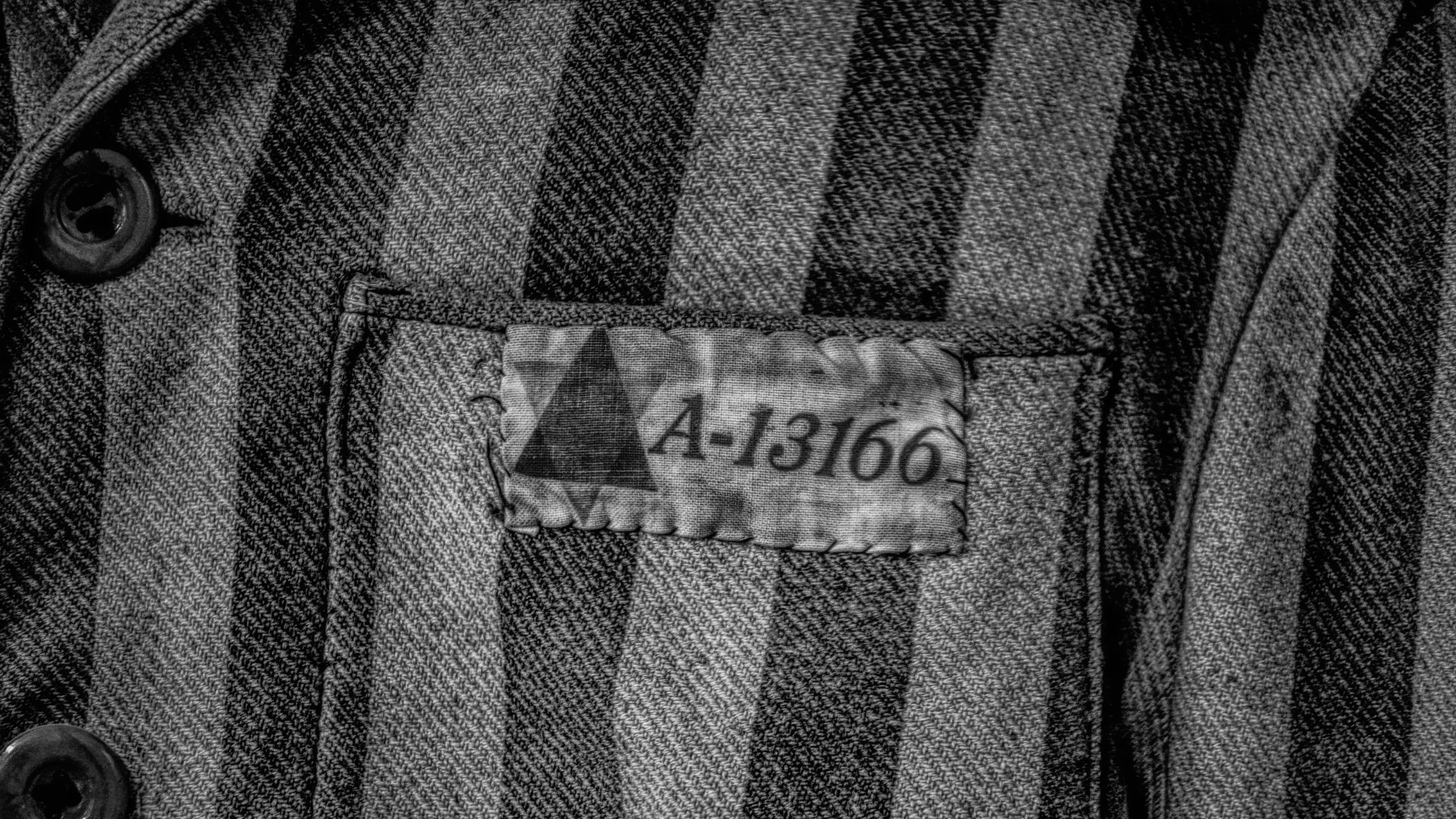 Auschwitz survival, Elysian magazine, Holocaust experiences, 1920x1080 Full HD Desktop