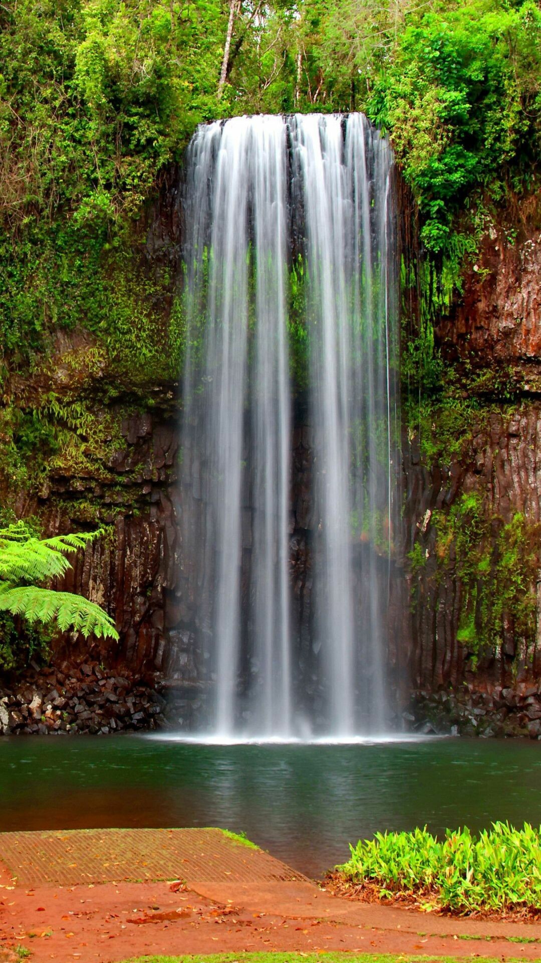 Millaa Millaa, Waterfalls Wallpaper, 1080x1920 Full HD Phone