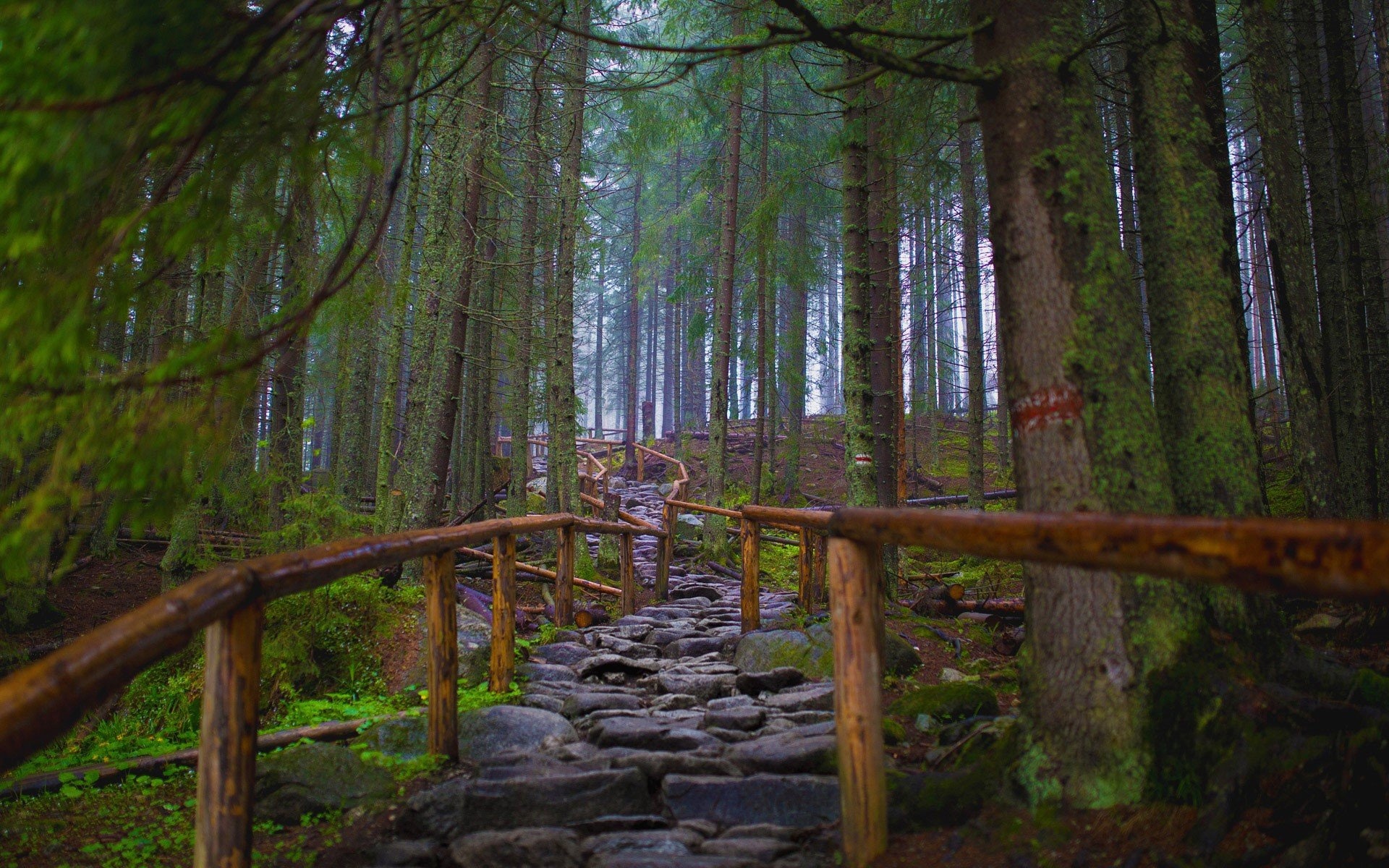 National park, Poland, Historical heritage, Immersive experience, 1920x1200 HD Desktop