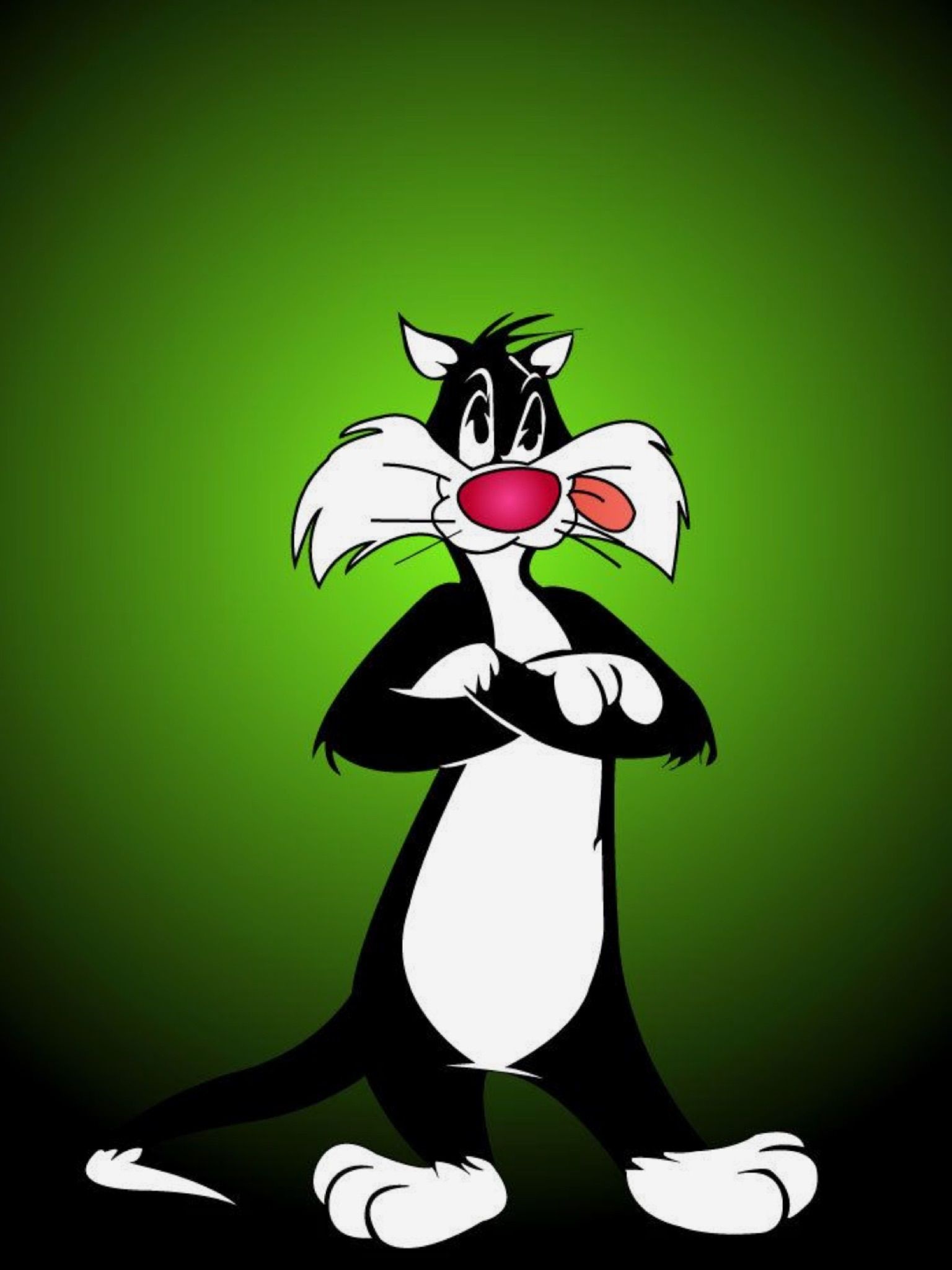 Classic cartoons, Looney Tunes cartoon, 1540x2050 HD Phone