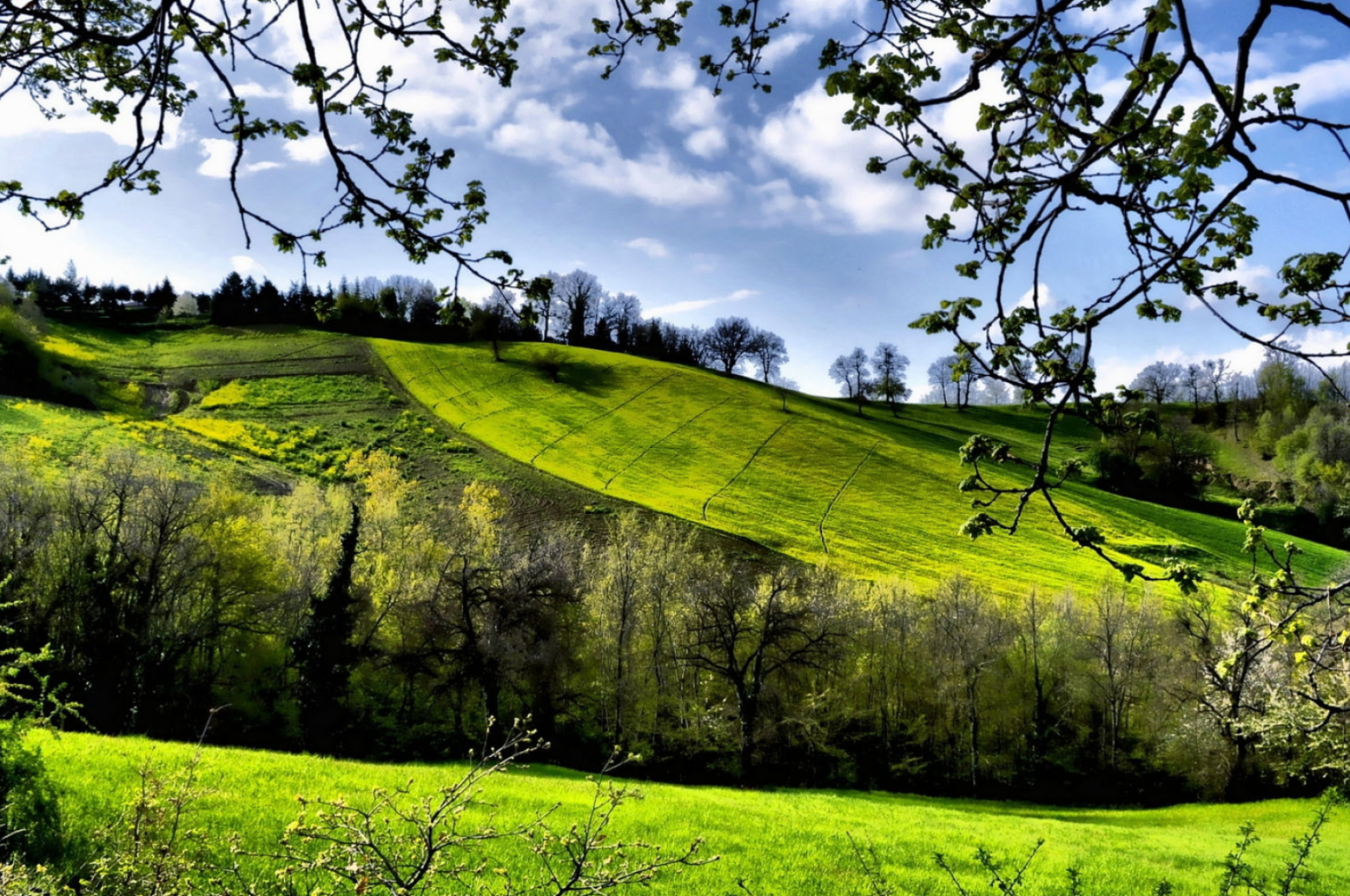 Tree-covered hills, Tranquil haven, Serene landscapes, Nature's embrace, 2050x1360 HD Desktop