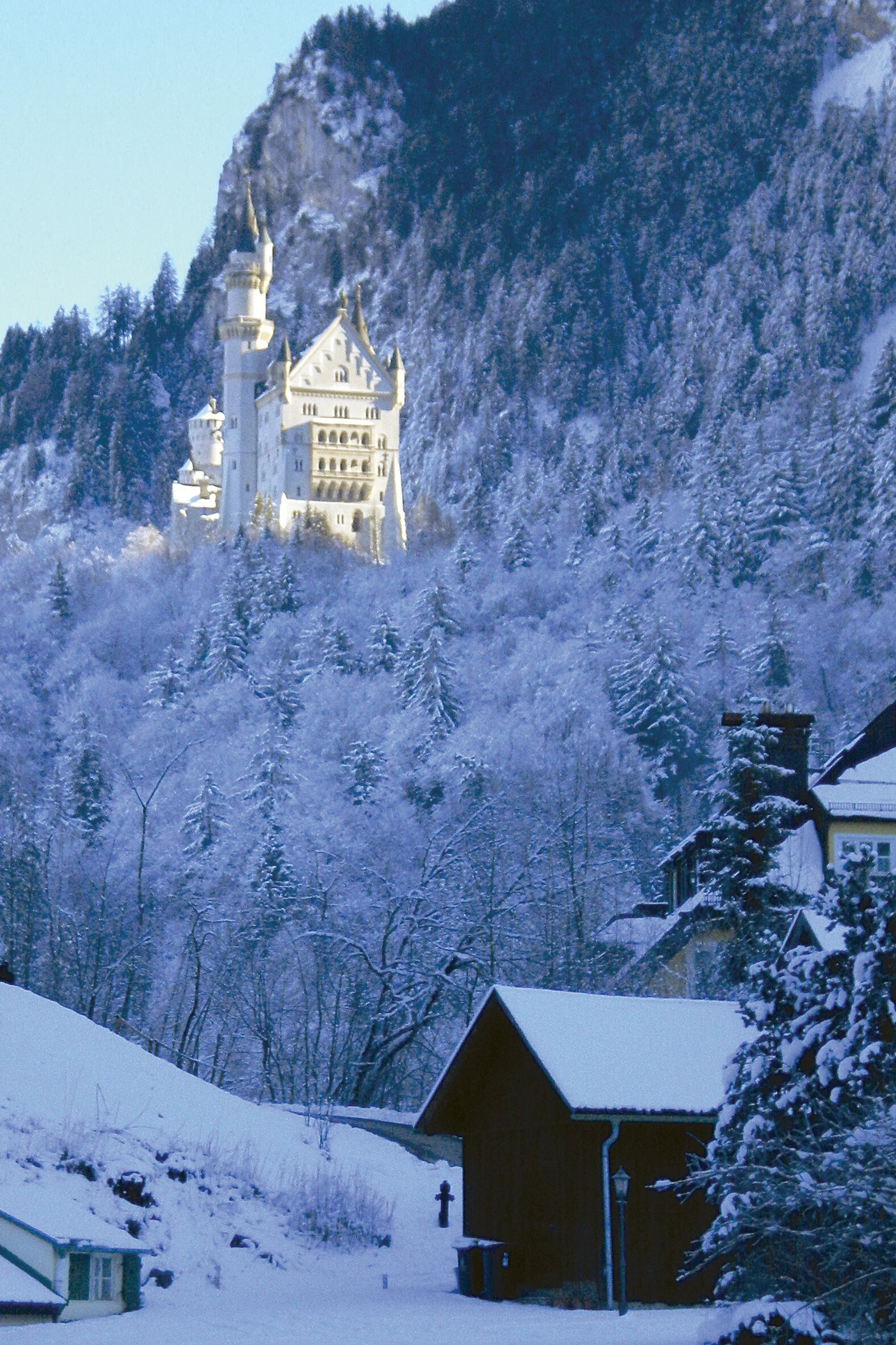 Bavaria, Neuschwanstein Castle Wallpaper, 1580x2370 HD Phone