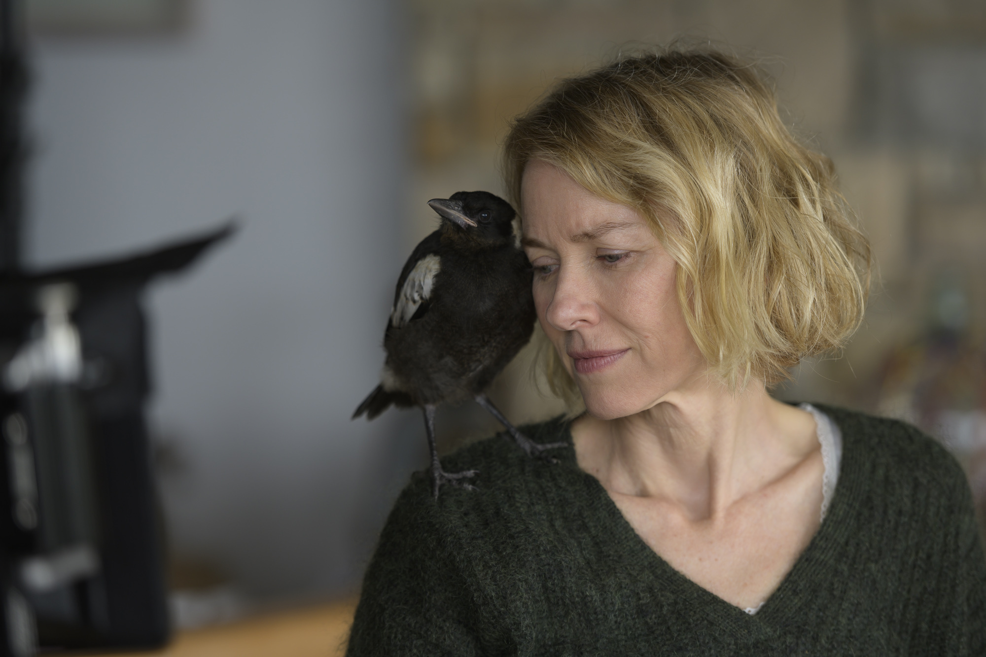 Penguin Bloom movie, Heartwarming story, Magpie friendship, Inspiring news, 2000x1340 HD Desktop