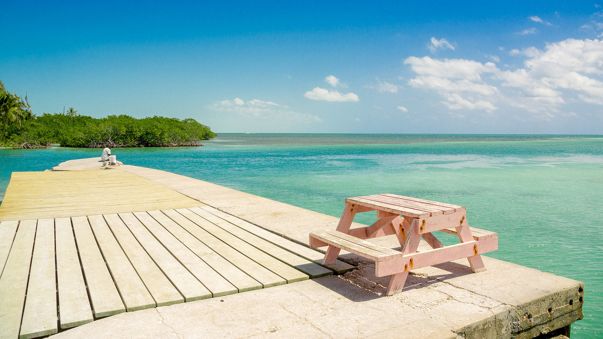 Scuba diving adventure, Underwater wonders, Colorful marine life, Dive into Belize, 1920x1080 Full HD Desktop