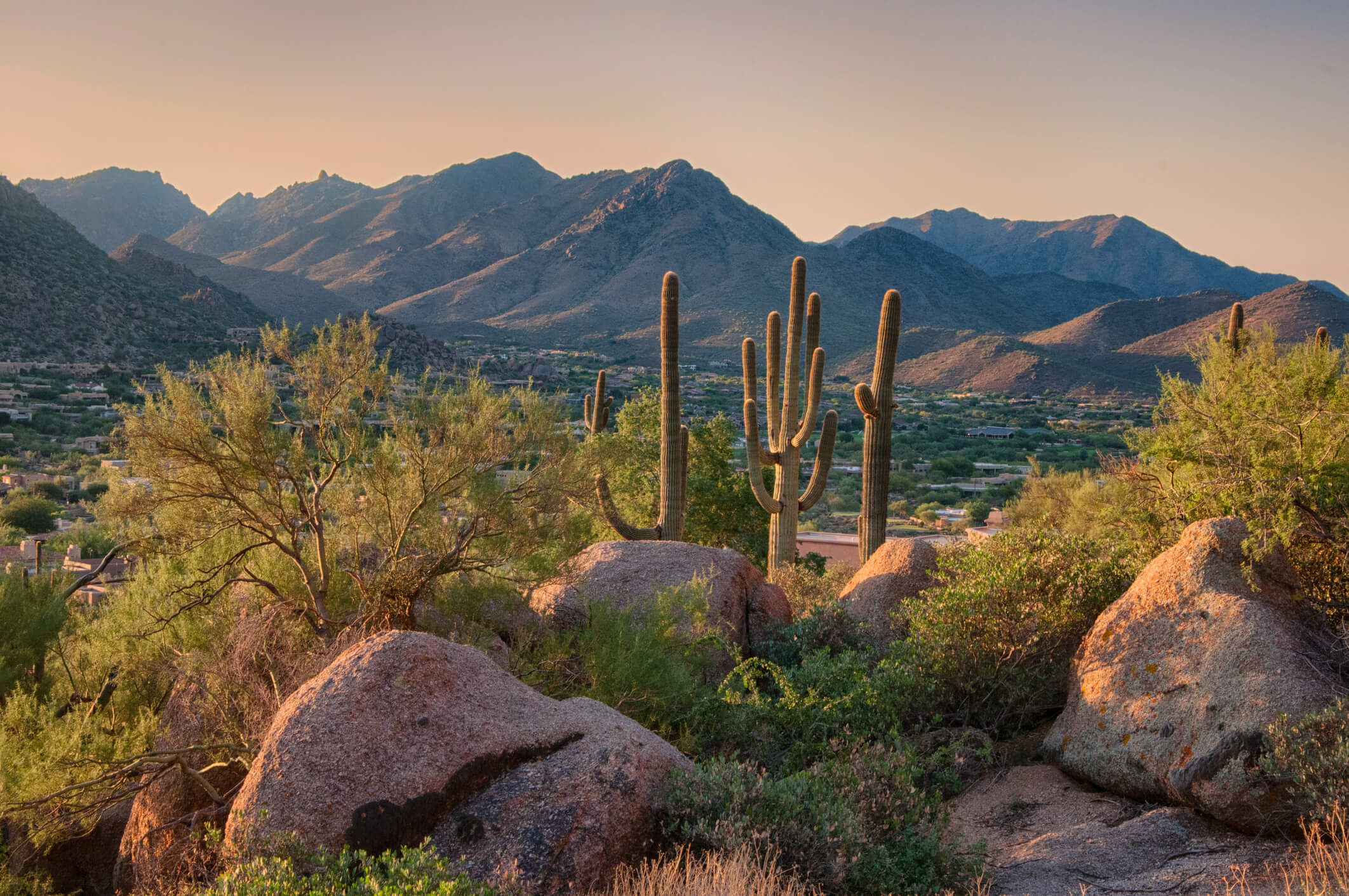Arizona travels, Living in Arizona, Animals to avoid, Health risks, 2130x1420 HD Desktop