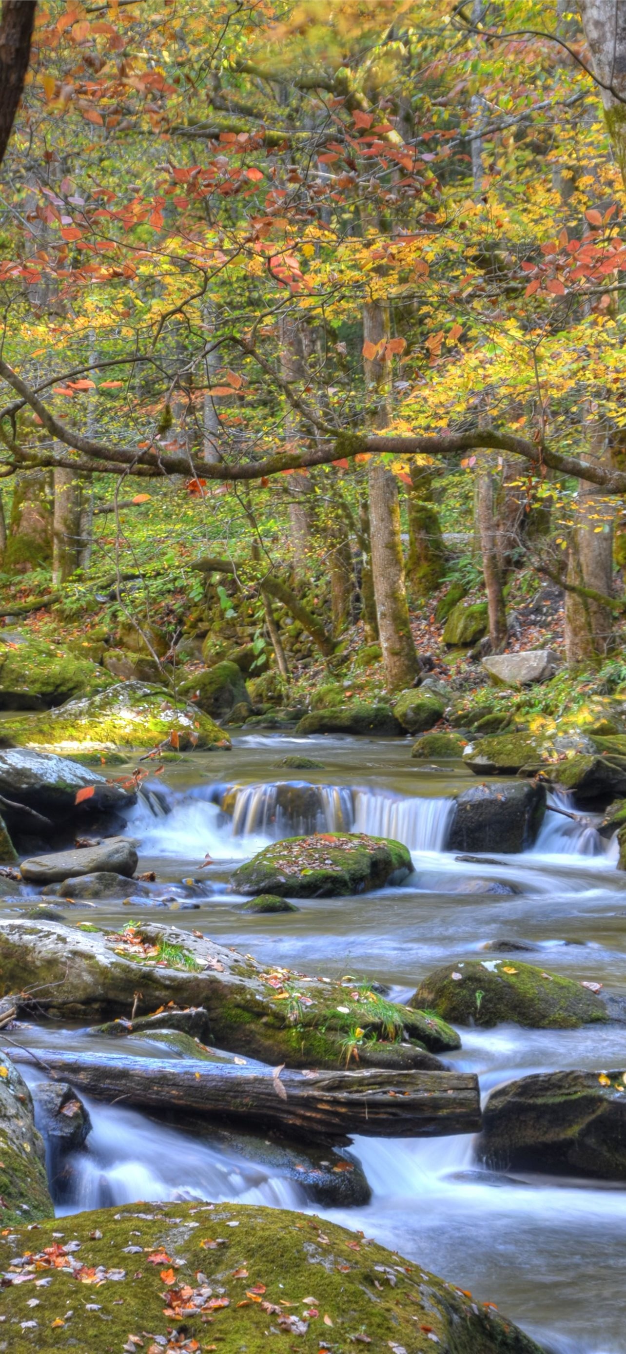 Great Smoky Mountains, National Park, iPhone wallpapers, Free download, 1290x2780 HD Phone