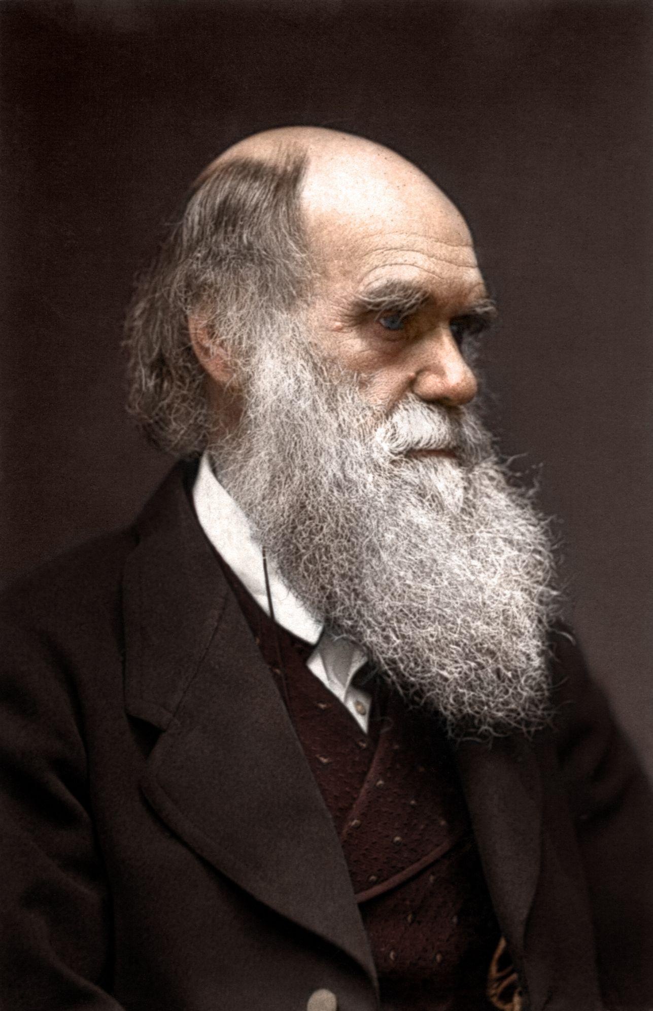 Charles Darwin, Evolutionary biologist, Naturalist, Scientific theory, 1290x2000 HD Phone