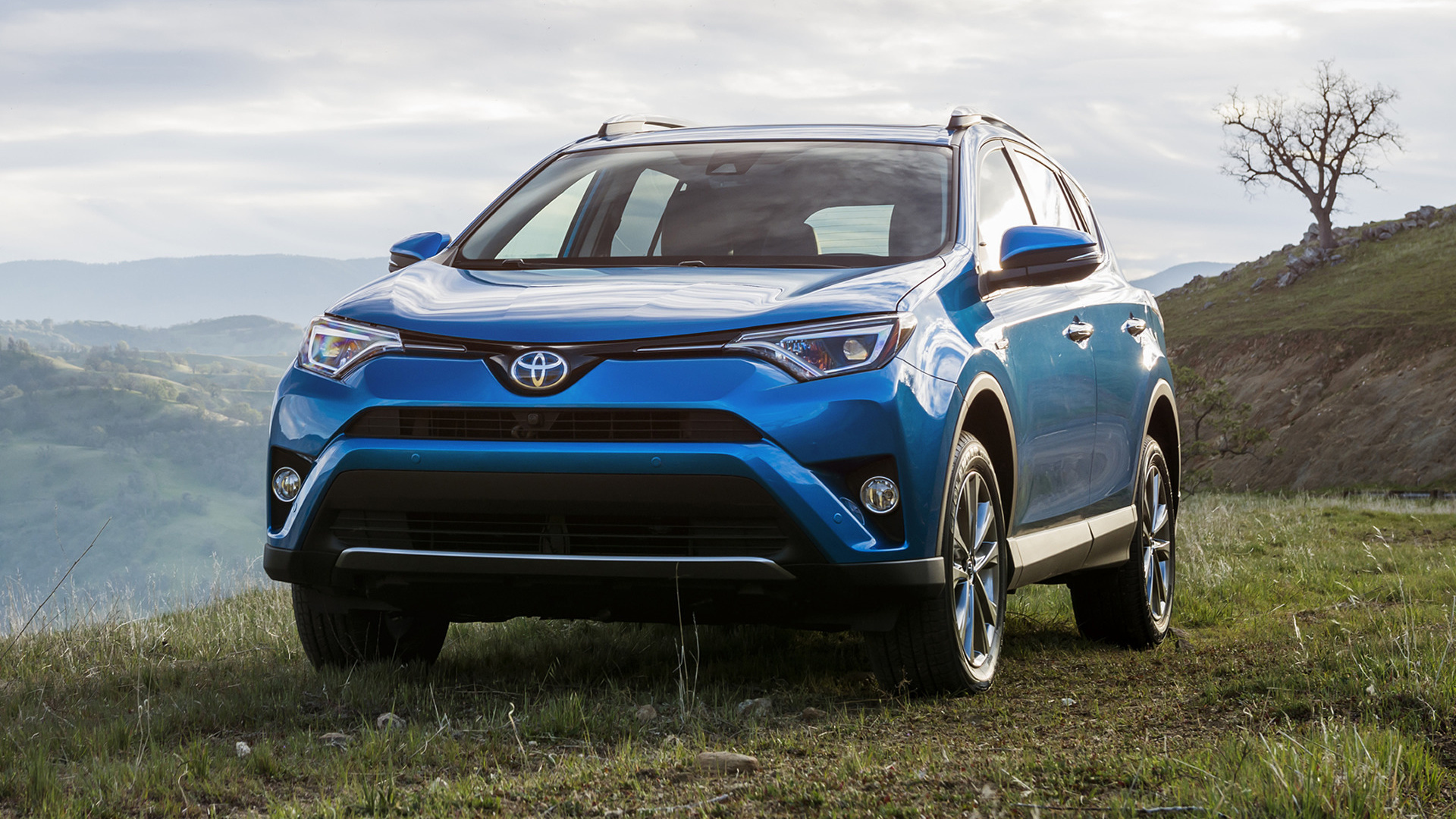 Toyota RAV4, Hybrid model, Blue exterior, Nature-themed, 1920x1080 Full HD Desktop