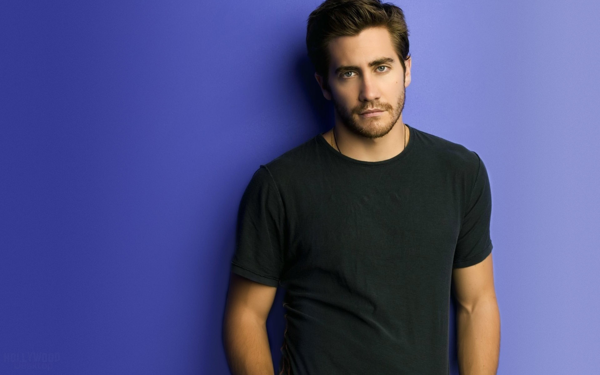 Jake Gyllenhaal, HD wallpapers, 1920x1200 HD Desktop