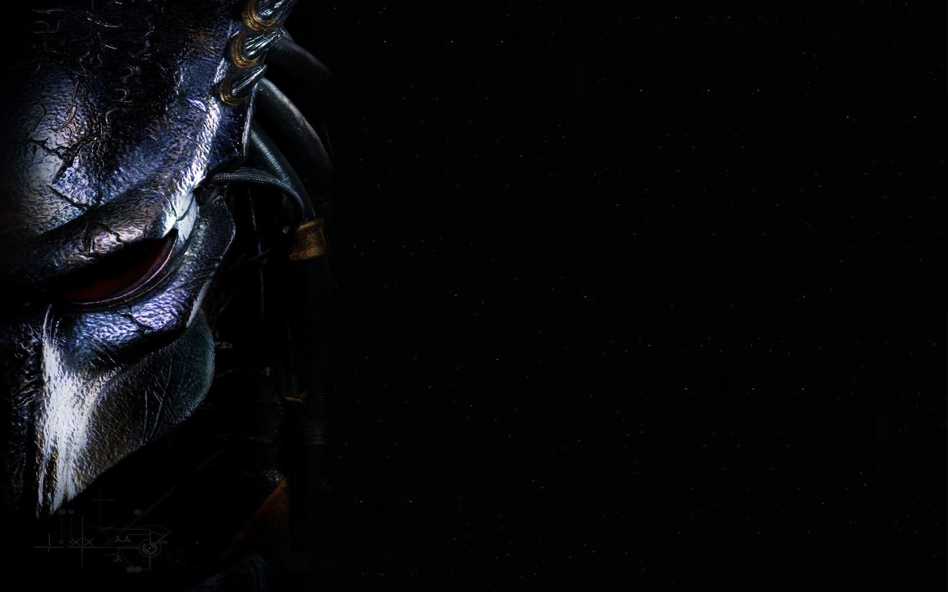 Cool predator desktop, Menacing presence, Stealthy hunter, Intimidating gaze, 1920x1200 HD Desktop