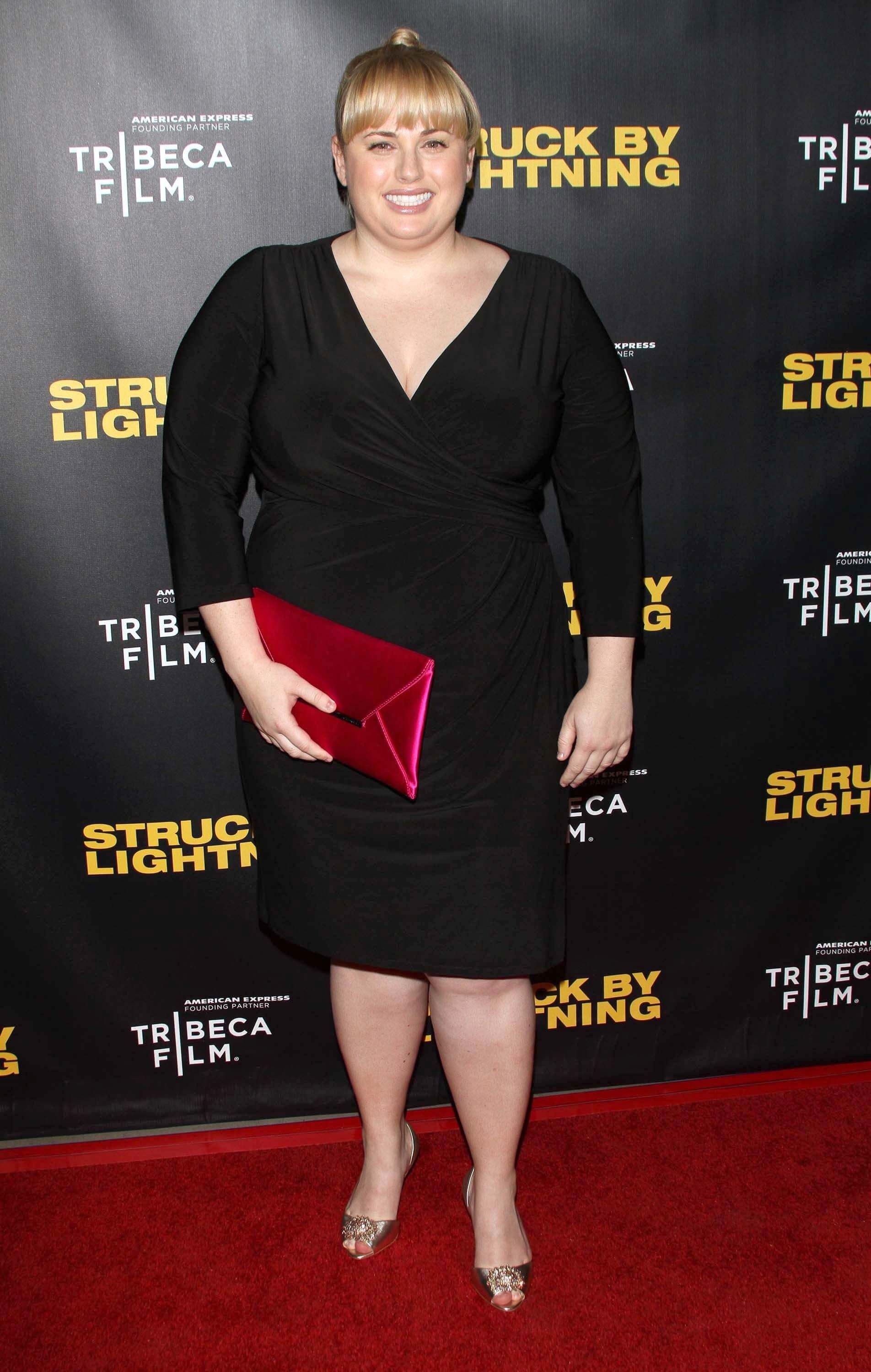 Rebel Wilson, Hot pictures, Beauty, The Viraler, 1910x3000 HD Phone