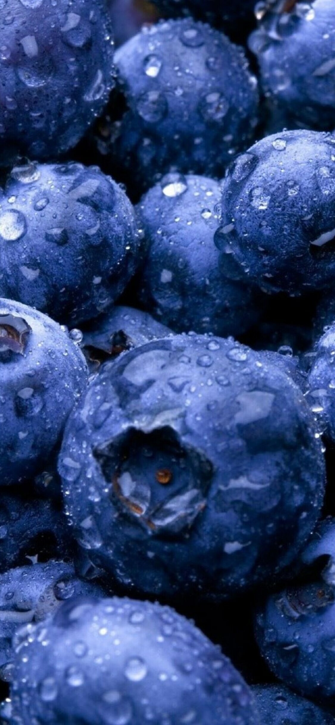 Blueberry bliss, Fresh and plump, Healthy snack, Burst of antioxidants, 1130x2440 HD Phone