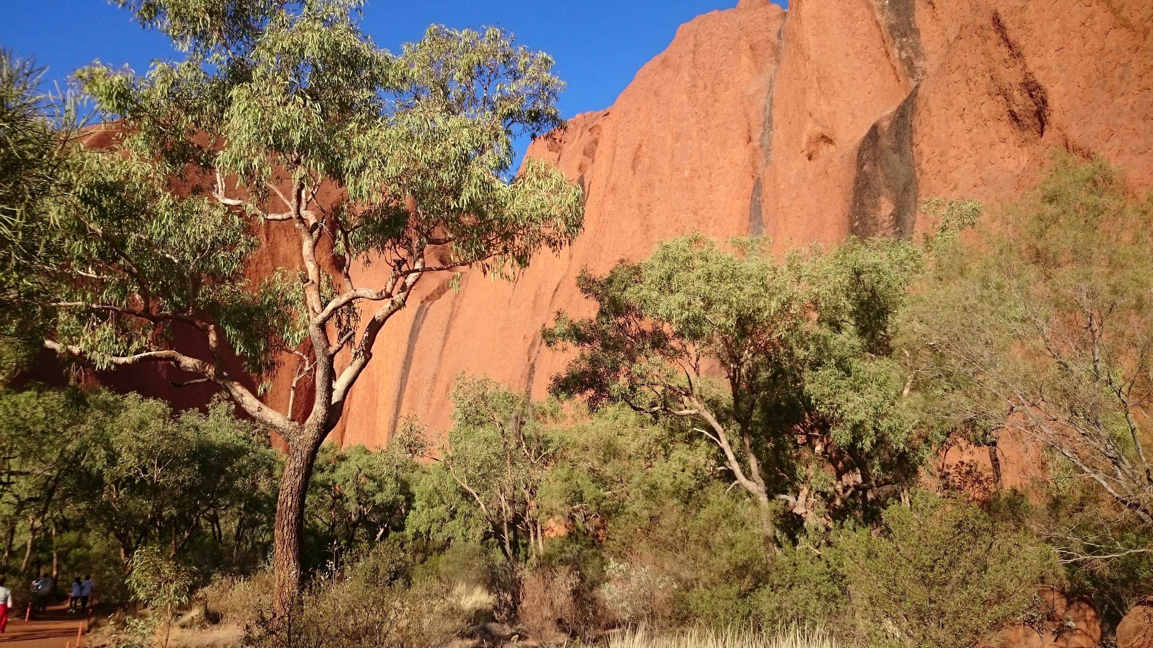 Uluru Kata Tjuta park visit, Australian New Zealand friendship, Cultural experience, 3840x2160 4K Desktop