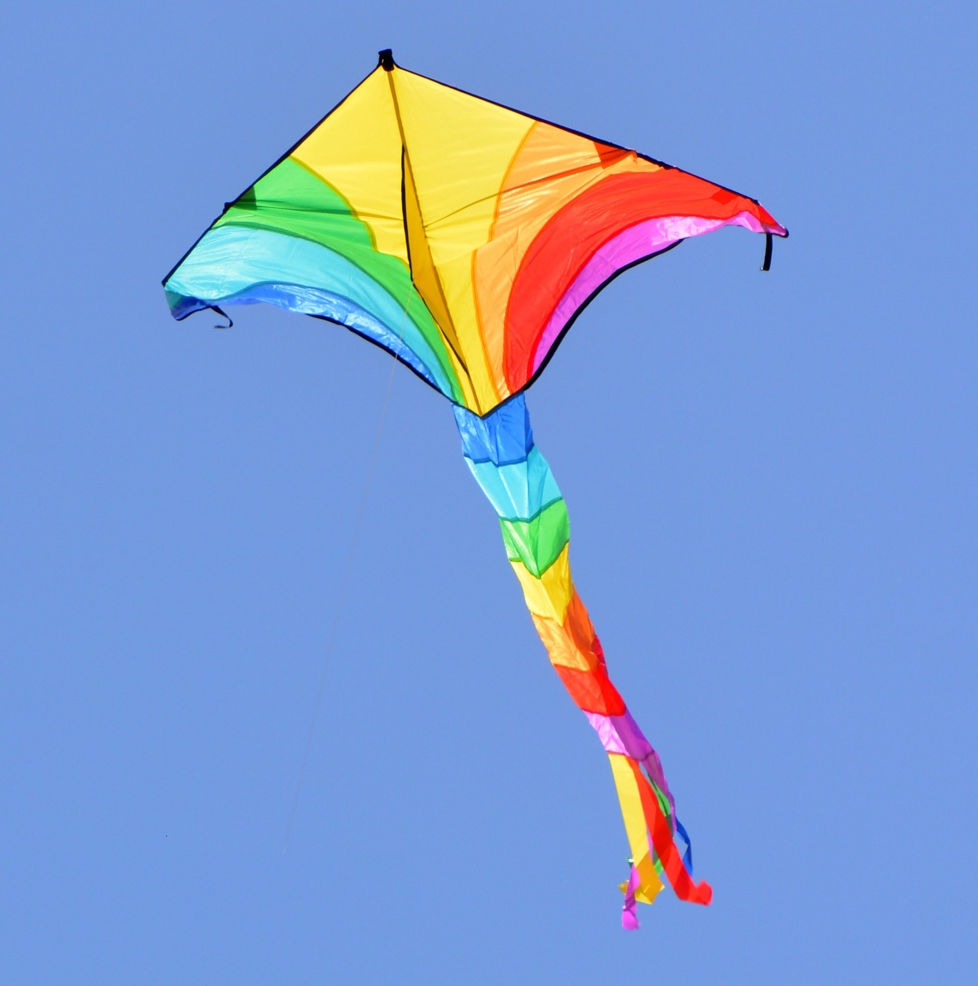 Kite Flying, Yellow and Blue Kite, Image, Peakpx, 1970x1990 HD Phone