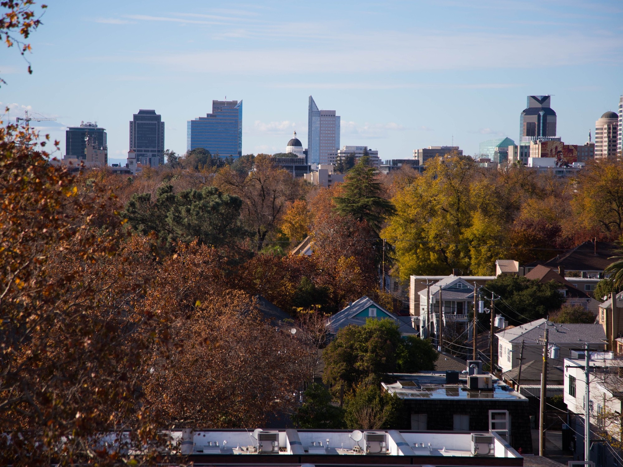 Sacramento's tree abundance, Urban greenery, City forestry, Leafy neighborhoods, 2000x1500 HD Desktop