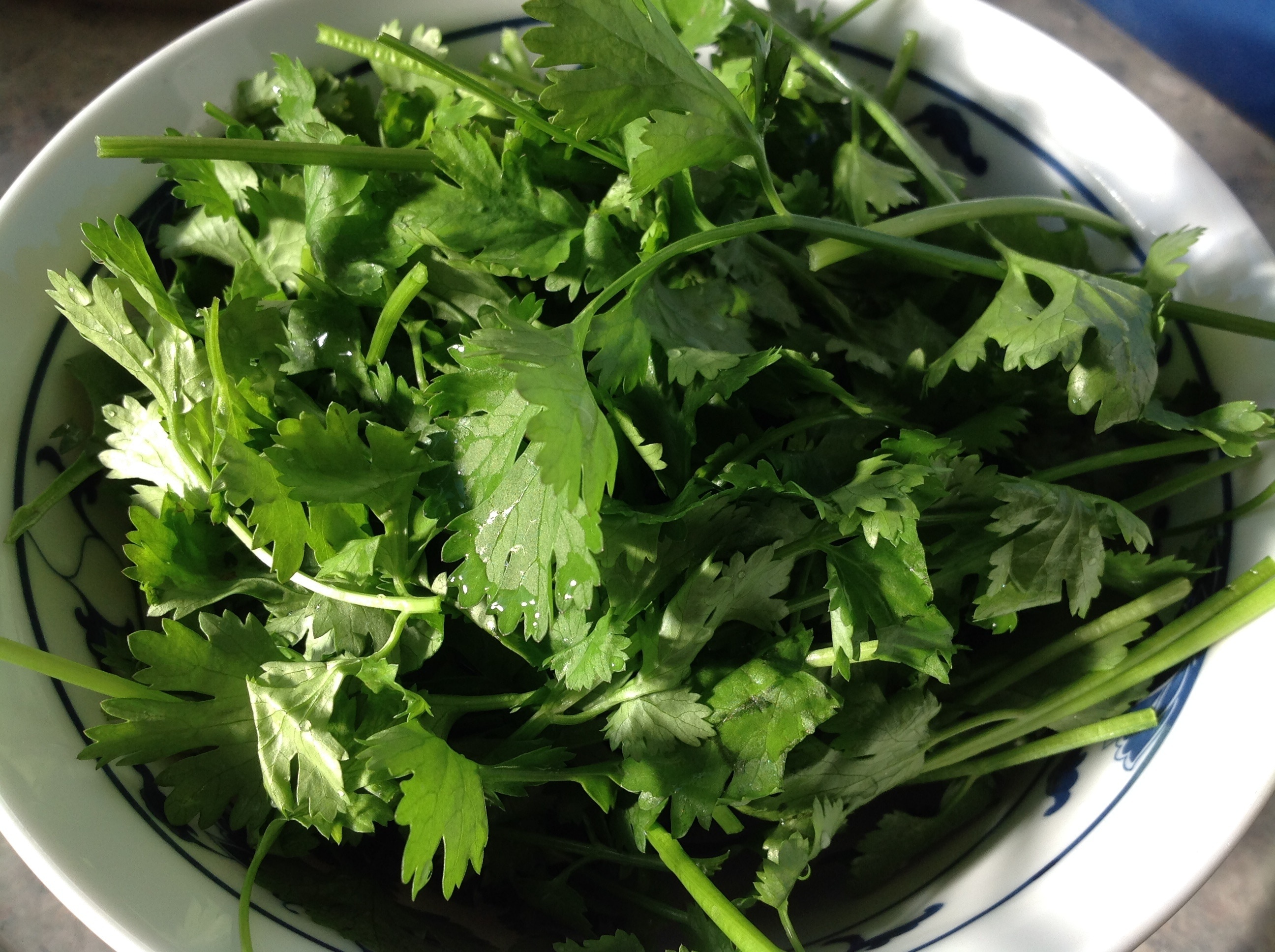 Chervil soup bowl, Yellow herb, Stainless steel spoon, 2600x1940 HD Desktop