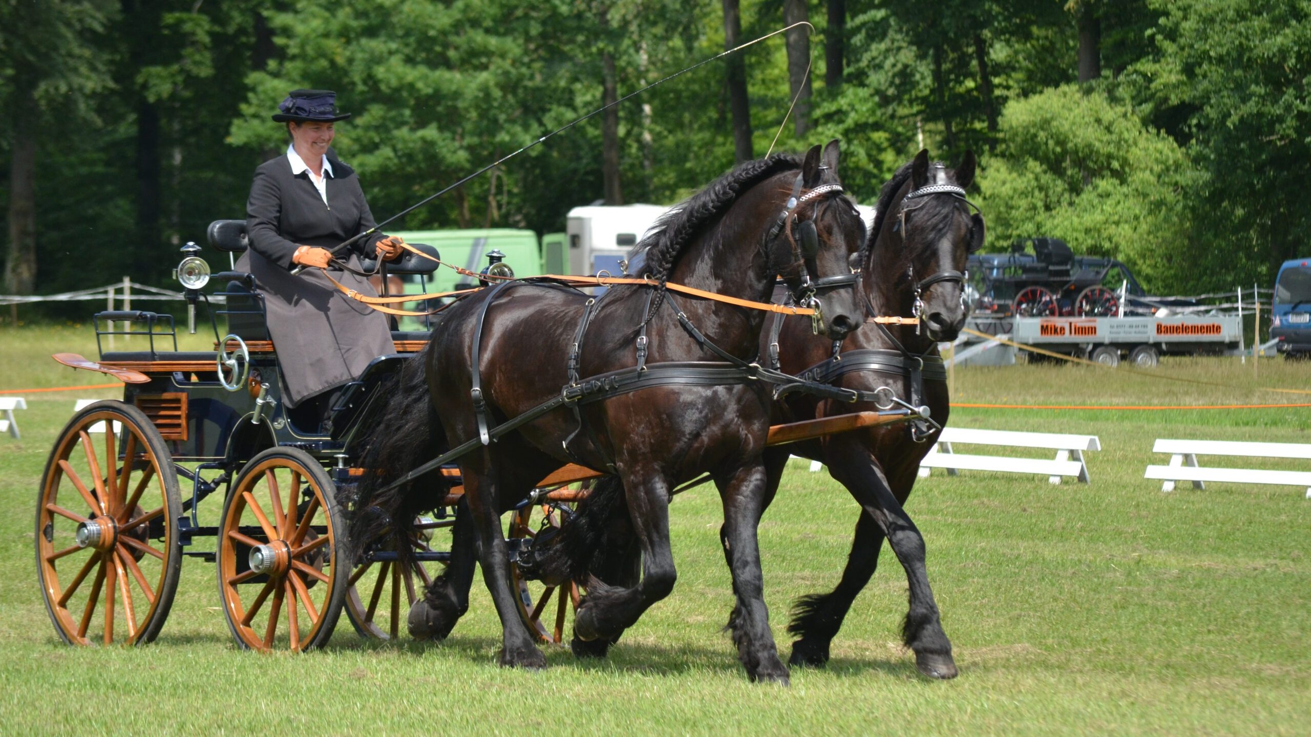 Carriage Driving, Our history, Our story, 2560x1440 HD Desktop