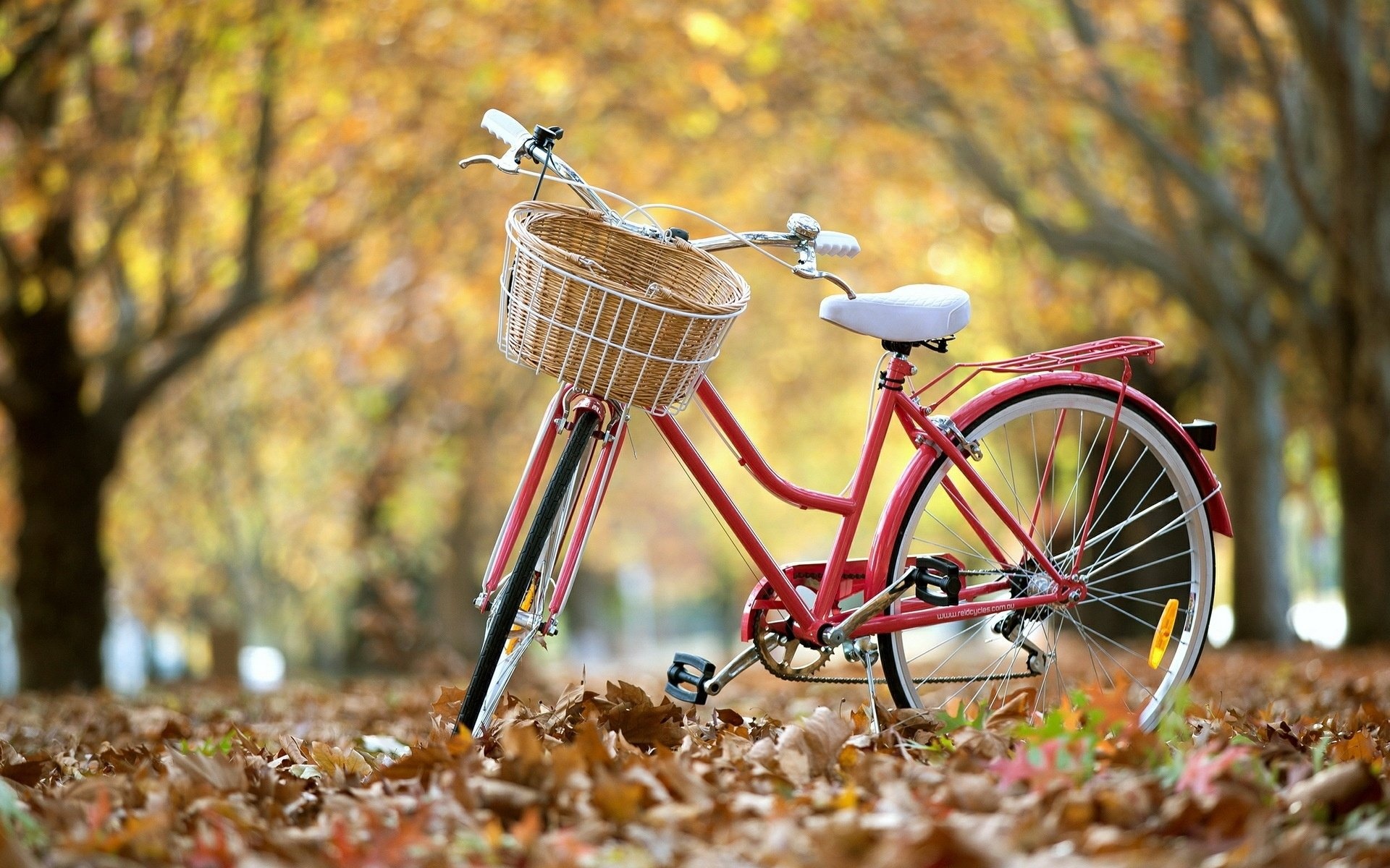 Basket, Bicycle Wallpaper, 1920x1200 HD Desktop