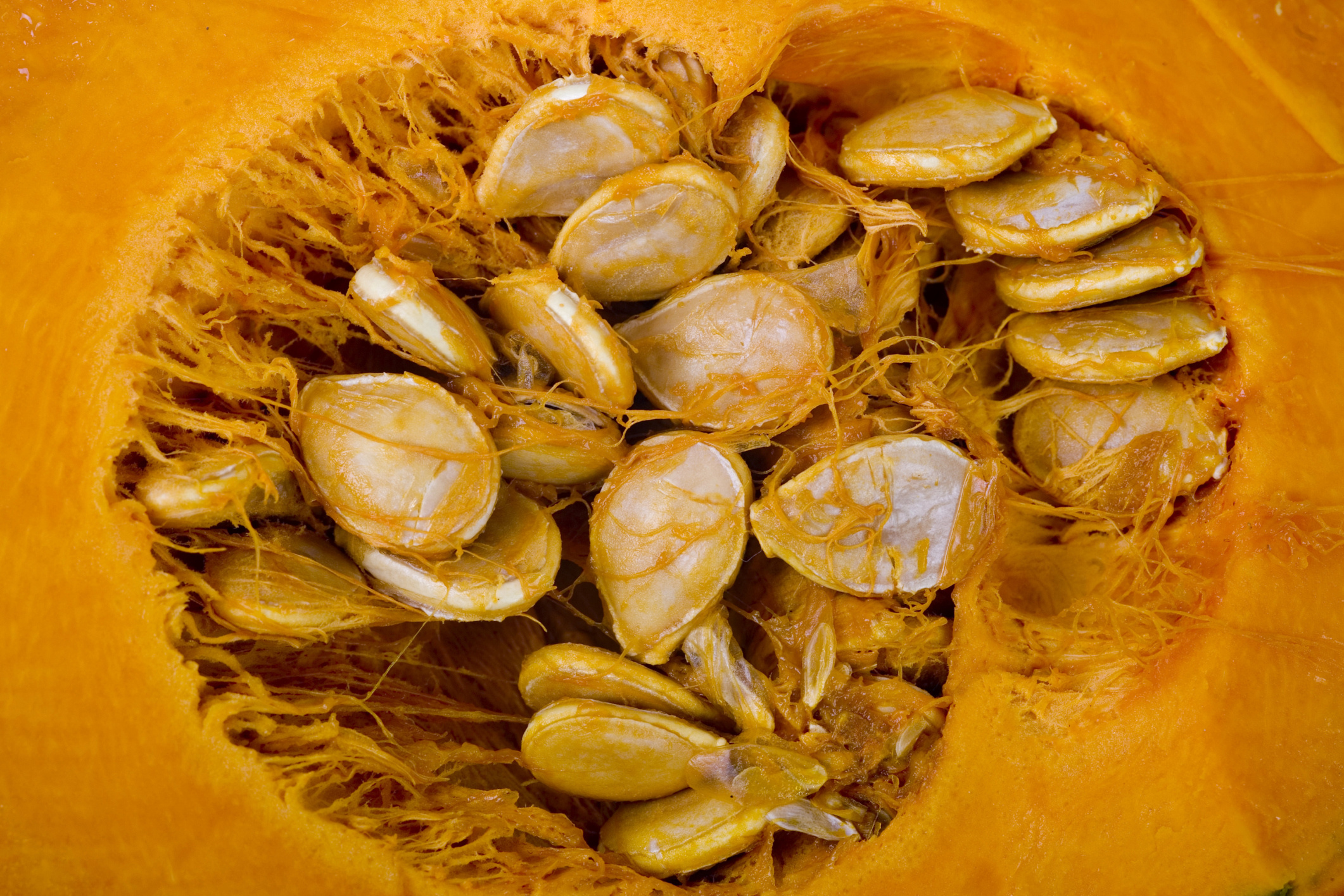 Poisonous pumpkin seeds, Cautionary note, Toxic effects, Health risks, 2130x1420 HD Desktop