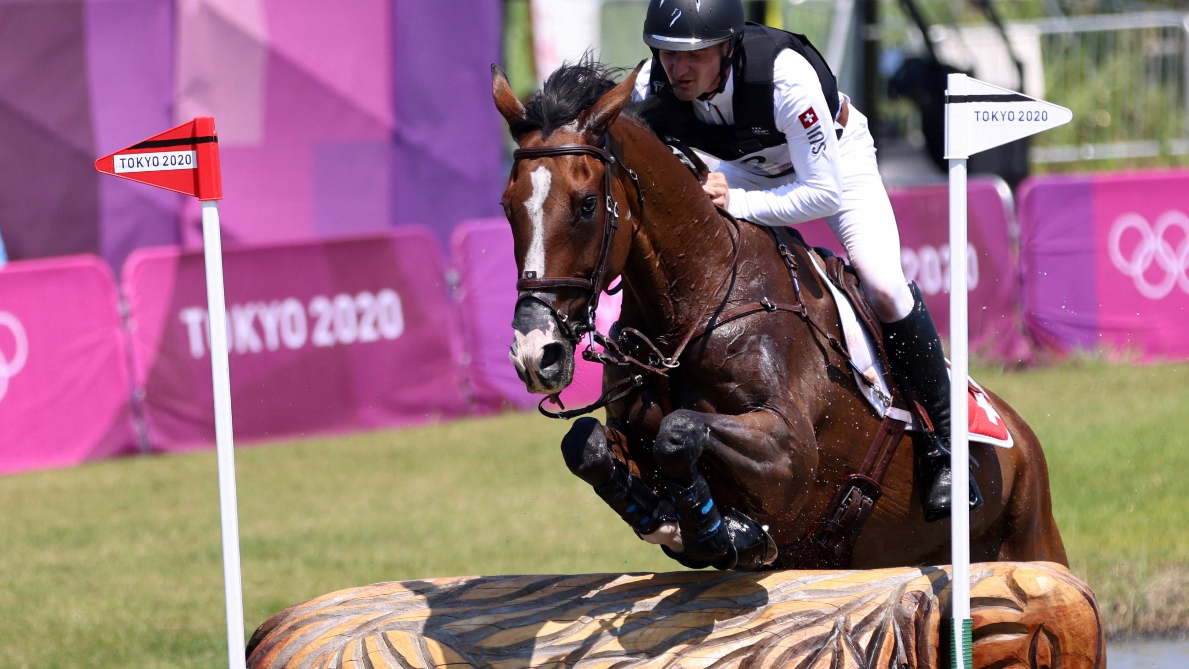 Swiss rider, Eventing tragedy, Euthanized horse, Heartbreaking loss, 3840x2160 4K Desktop