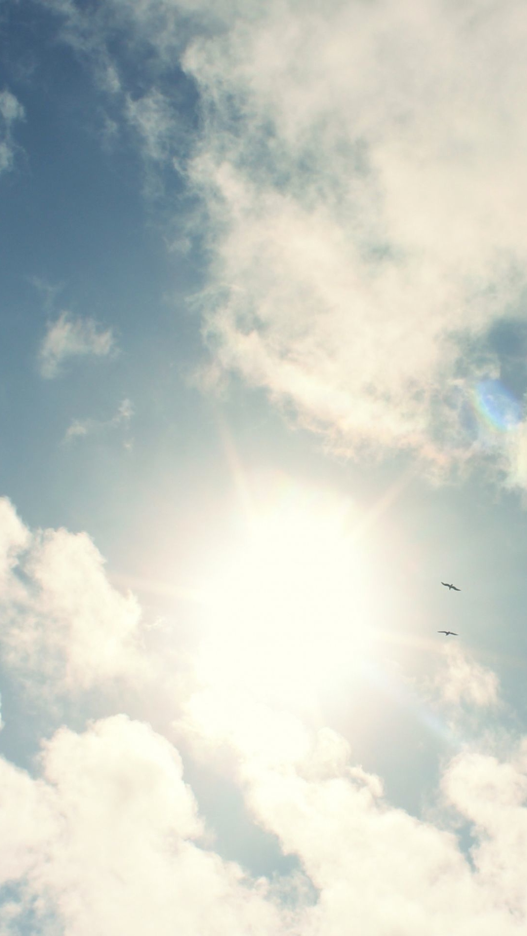 Radiant midday sun, Flying birds silhouette, Fluffy cumulus clouds, Full HD Phone wallpaper