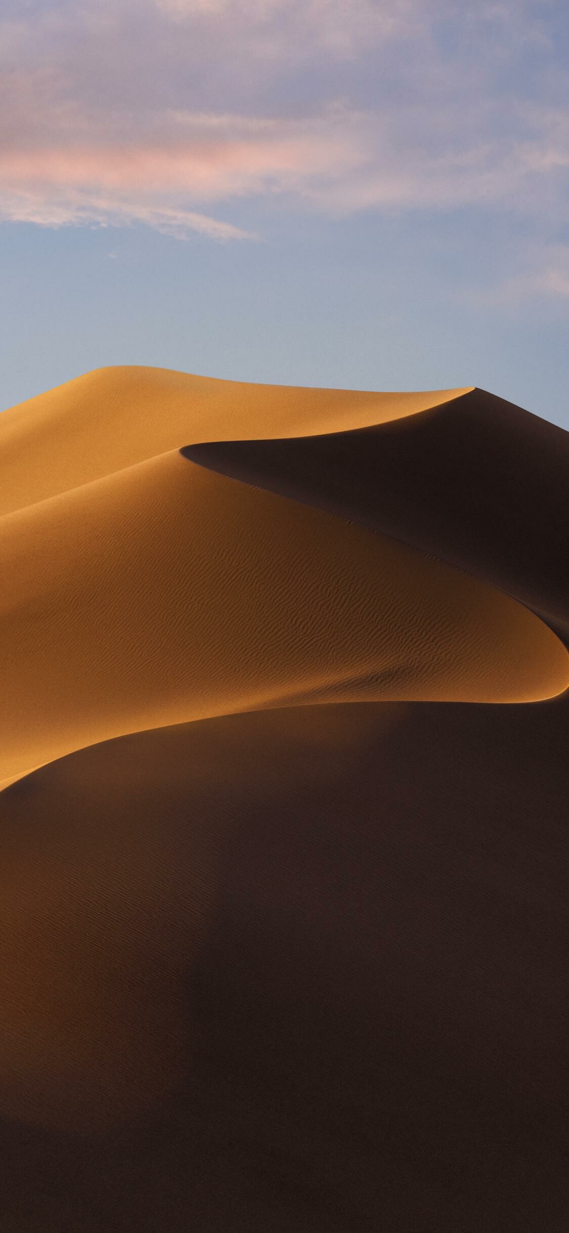 Mojave desert, Barren landscapes, Desert flora, Remote wilderness, 1130x2440 HD Phone