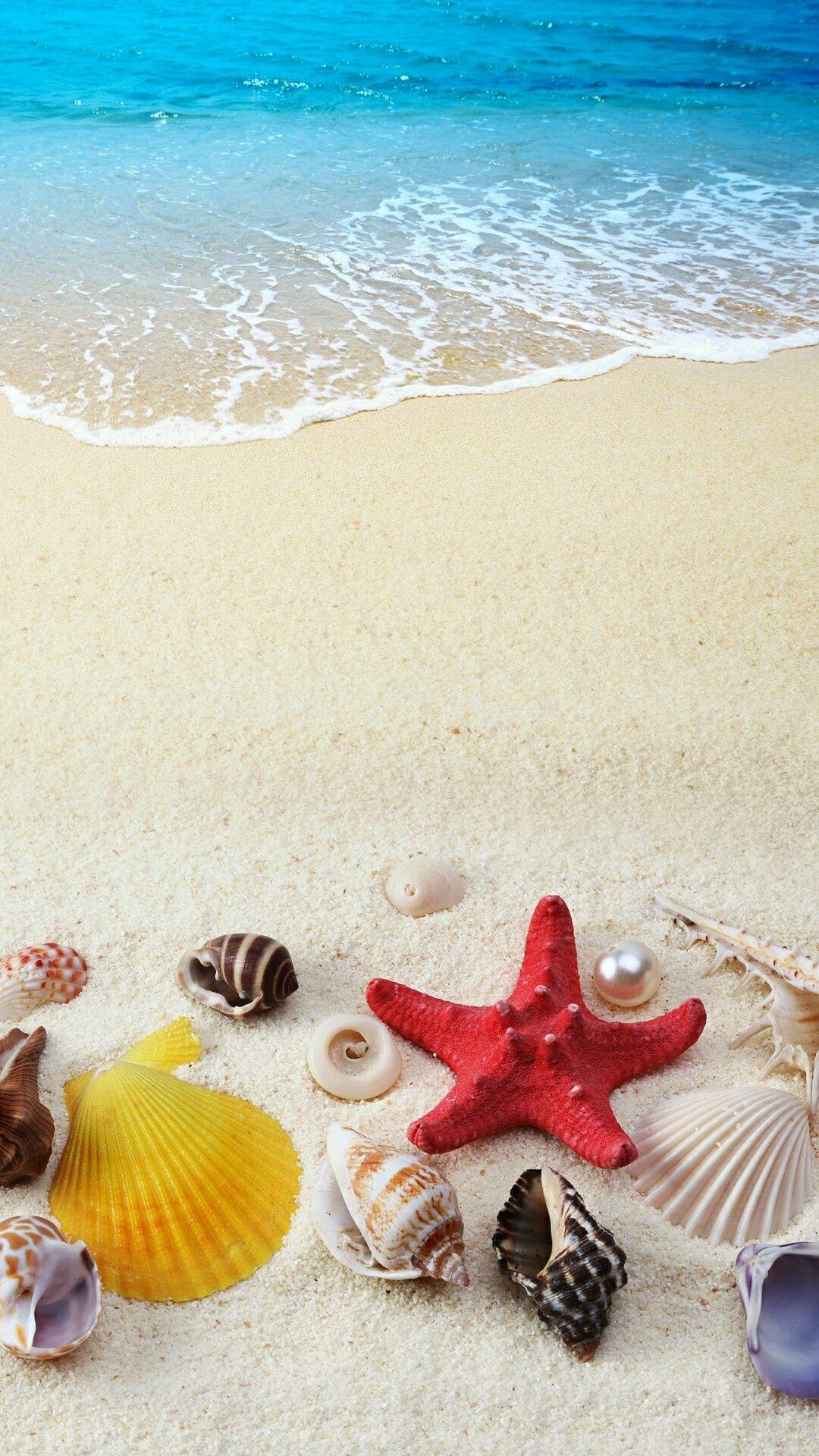 Starfish, HD cellphone wallpapers, Sea and shells, Oceanic beauty, 1080x1920 Full HD Phone