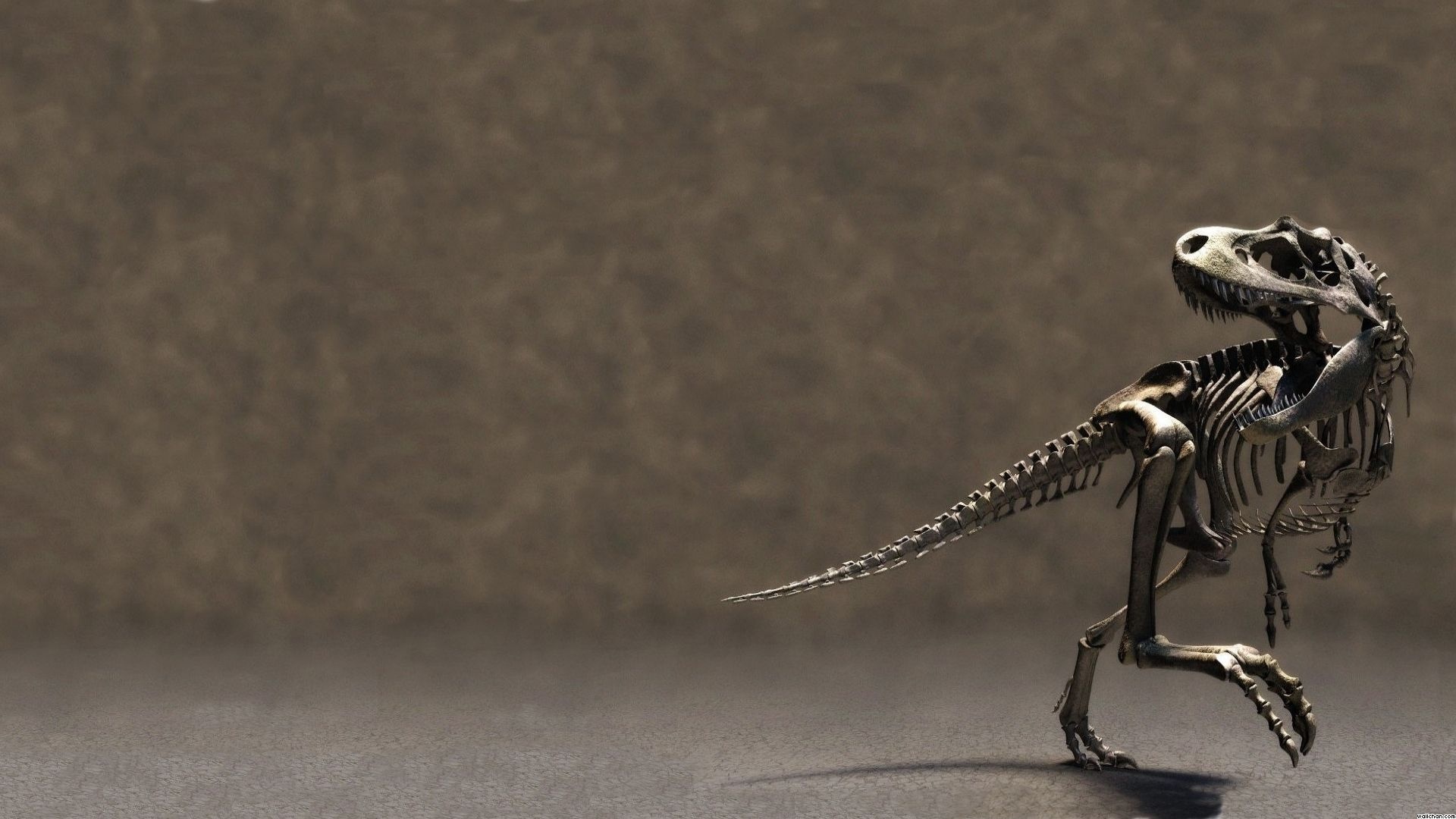 Skeleton relics, Animated artworks, Mobile wallpapers, Resurrected dinosaurs, 1920x1080 Full HD Desktop