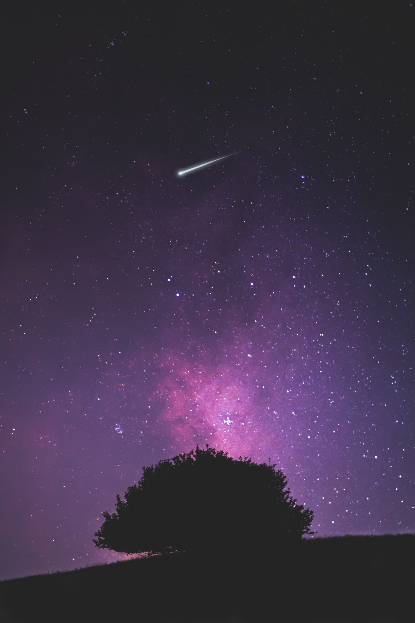 shooting star streak, purple Milky Way glow, lone tree silhouette, HD Phone wallpaper