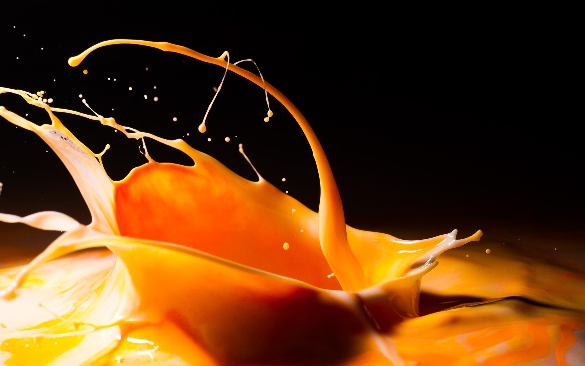 Splashes of juice, Citrus tropicality, HD vibrancy, Refreshing imagery, 1920x1200 HD Desktop