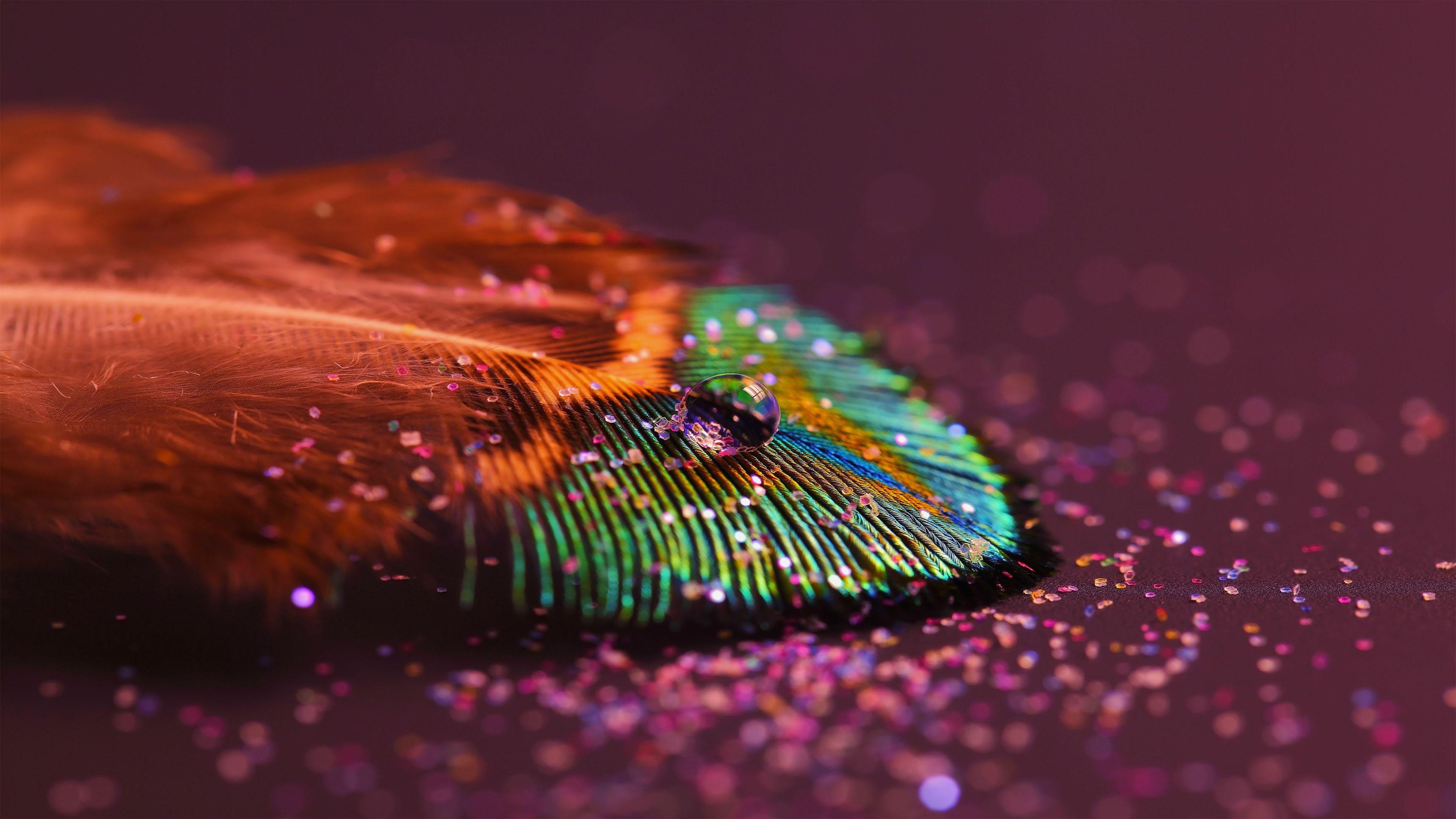 Iridescent peacock feather, Water droplet reflection, Pink glitter particles, 4K Desktop wallpaper
