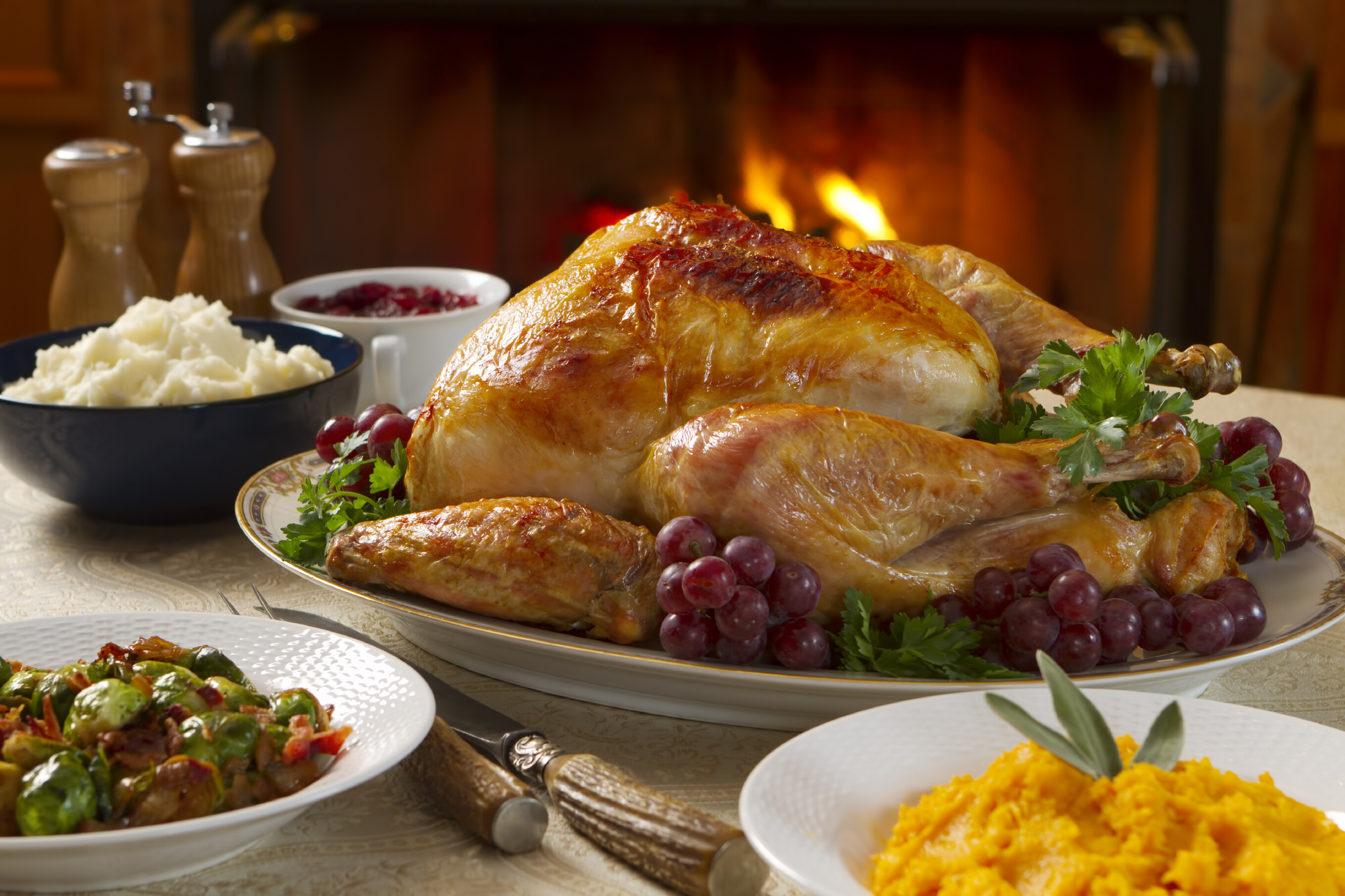 Thanksgiving Dinner, Thanksgiving Wallpaper, 2720x1810 HD Desktop