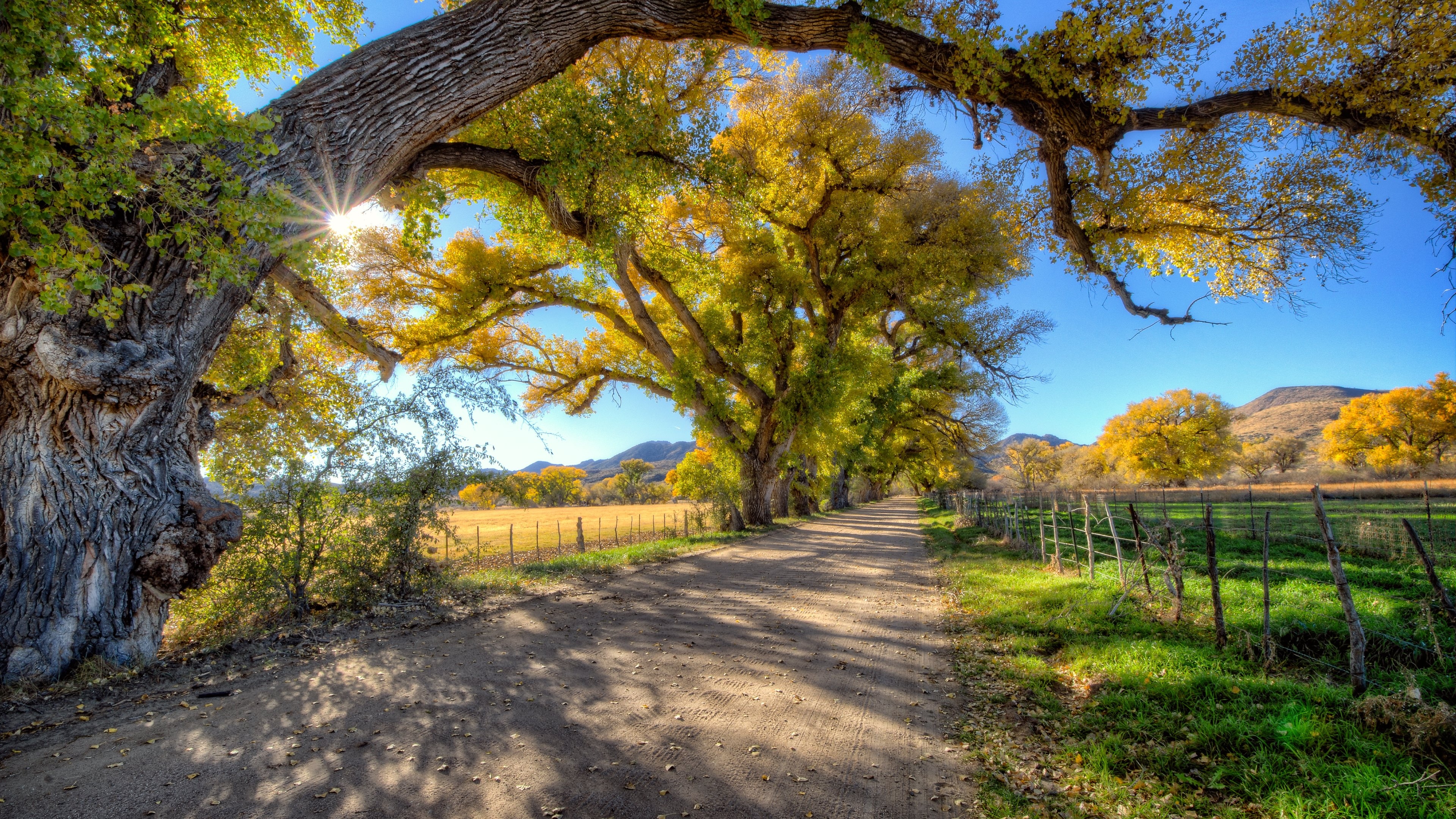 Autumn view, Surreal beauty, 4K wallpapers, Desktop and mobile, 3840x2160 4K Desktop