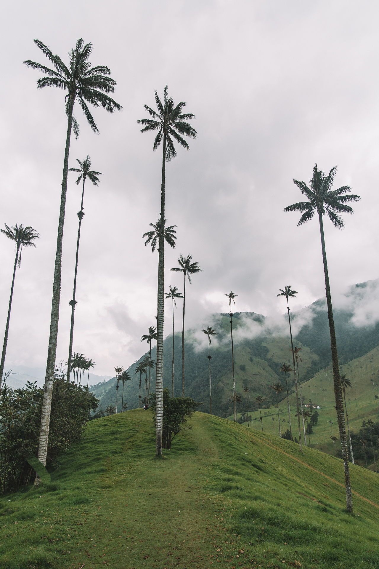 Explore Colombia, Travel inspiration, Must-visit places, Colombian wonders, 1280x1920 HD Phone
