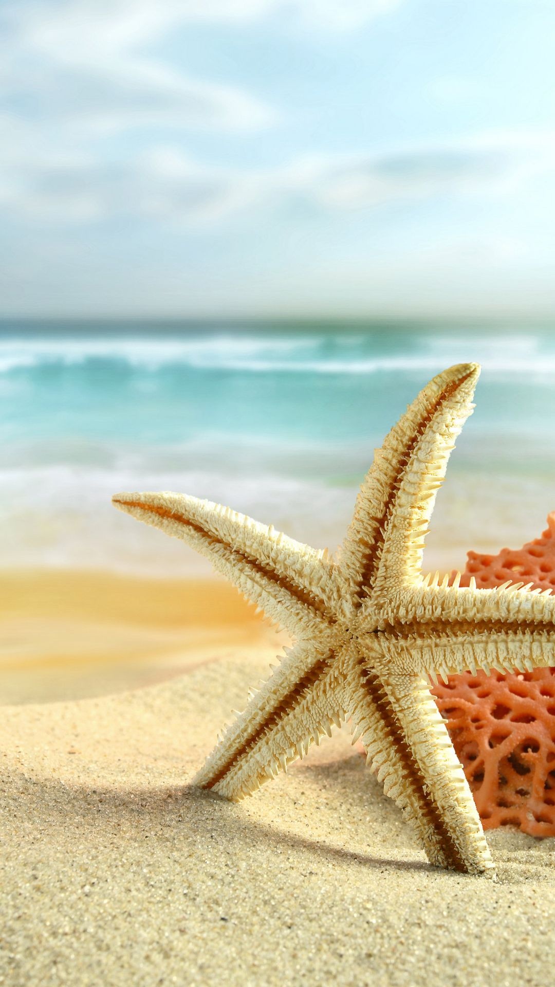 Sea star wallpapers, Beach-themed backgrounds, Oceanic artwork, Marine life-inspired illustrations, 1080x1920 Full HD Phone