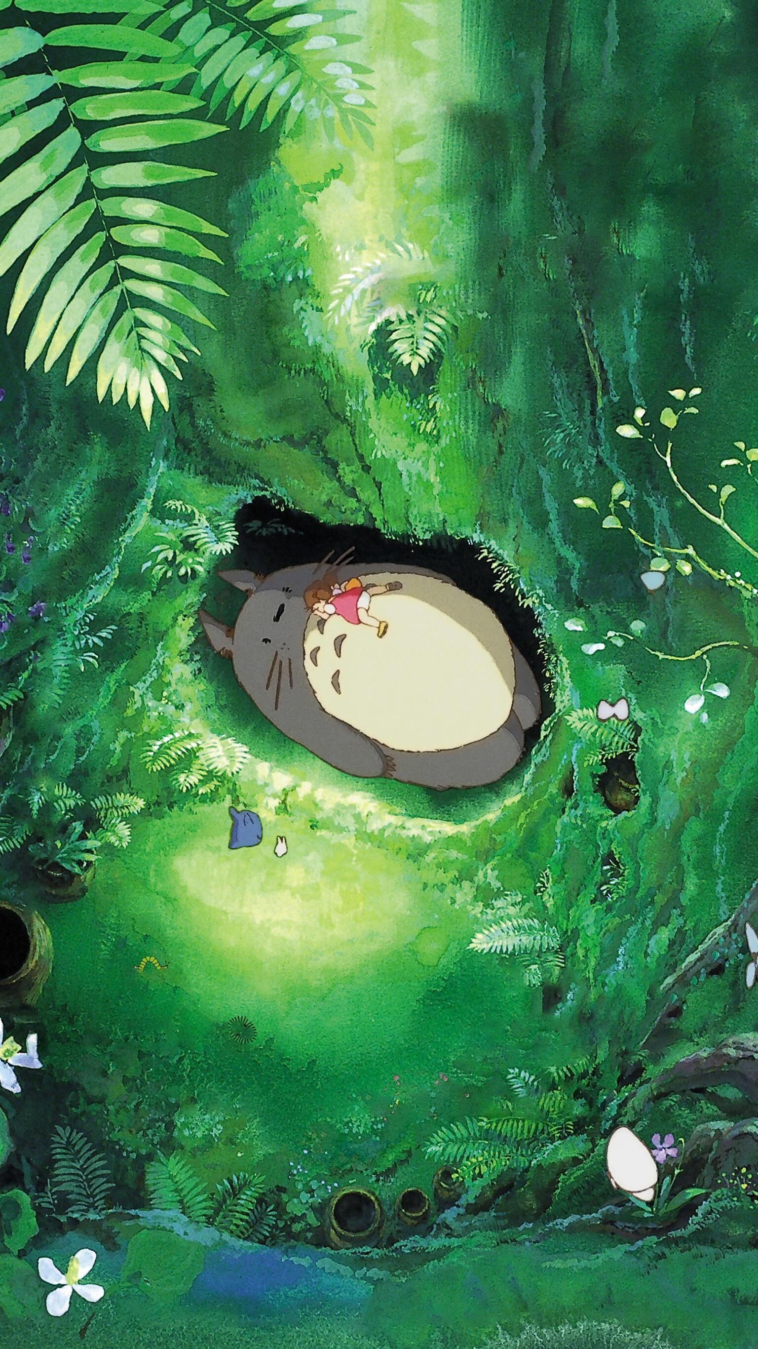 My Neighbor Totoro, Studio Ghibli Wallpaper, 1540x2740 HD Phone