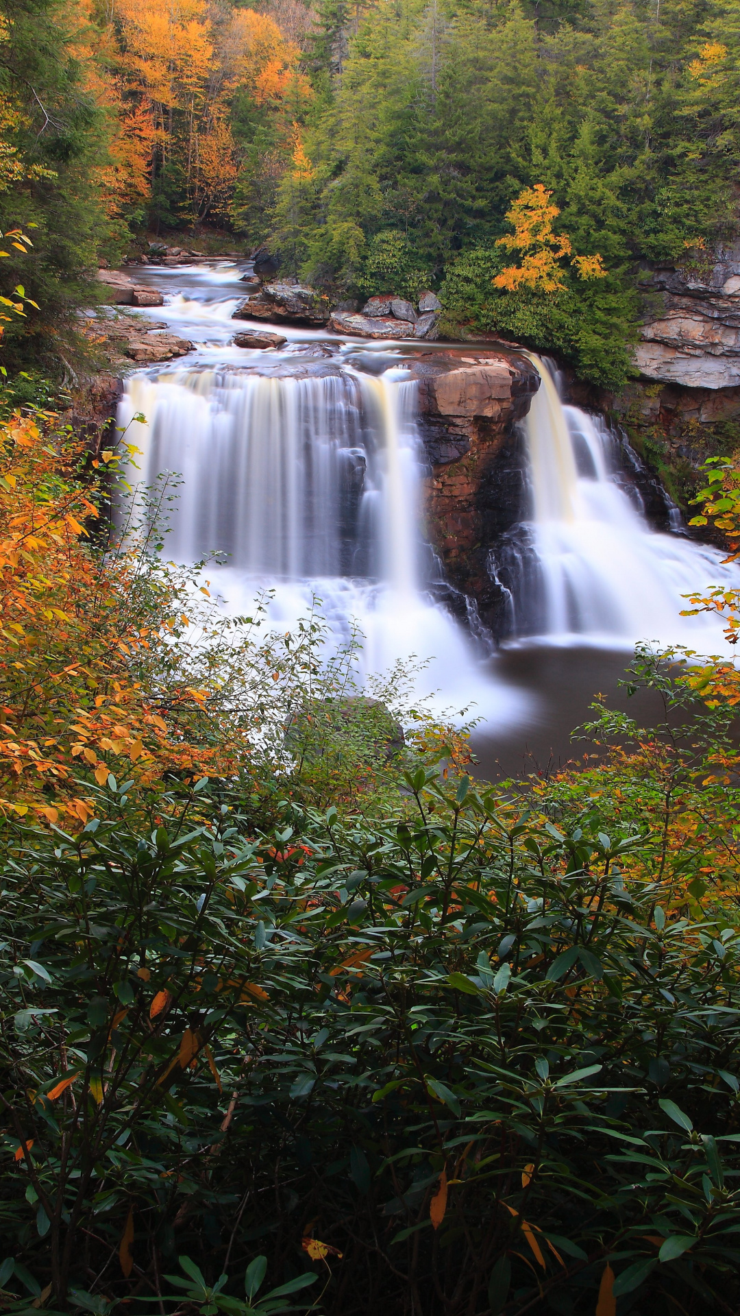 West Virginia, Wallpaper, State, 1080x1920 Full HD Phone