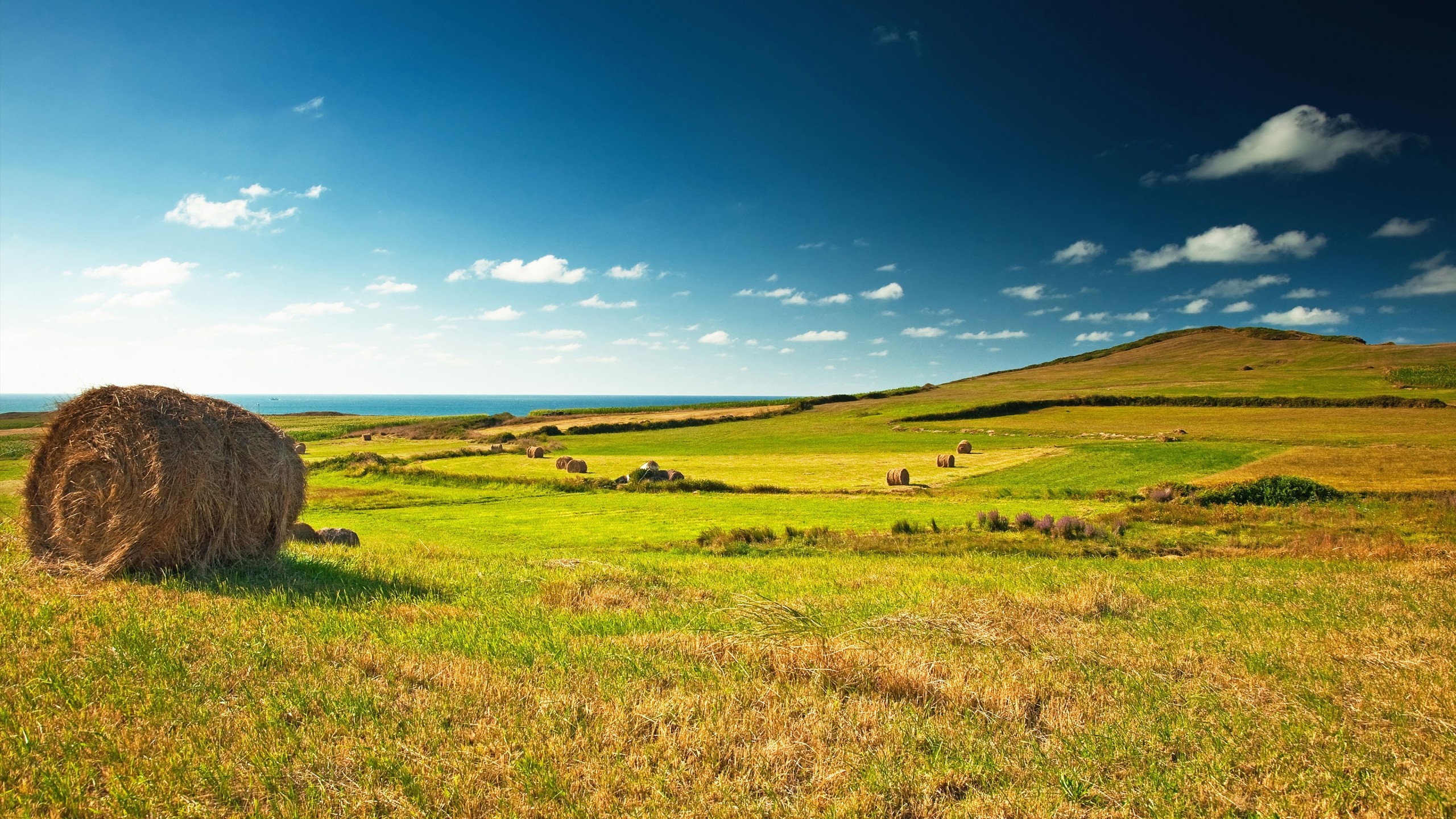 Hay bales, Grass and Sky Wallpaper, 2560x1440 HD Desktop
