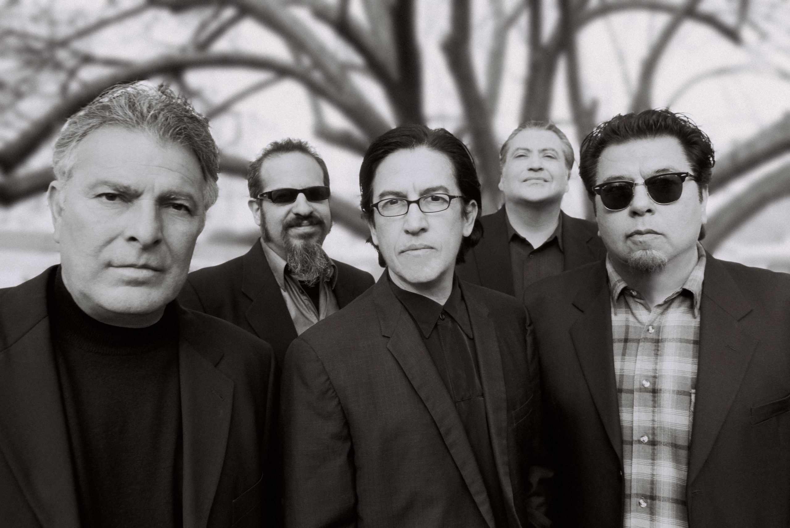 Monochrome, Los Lobos Wallpaper, 2560x1720 HD Desktop