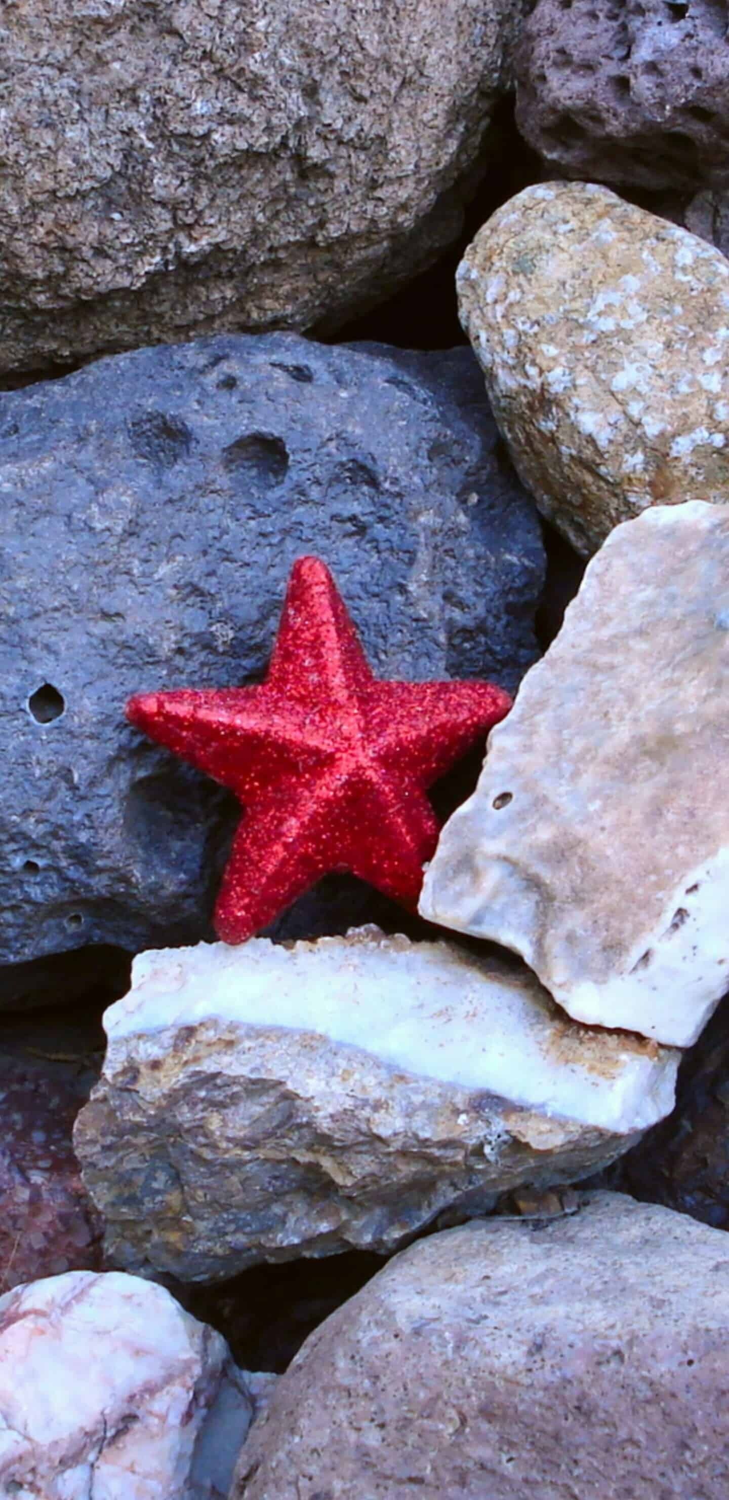 Rocks, Starfish Wallpaper, 1440x2960 HD Phone