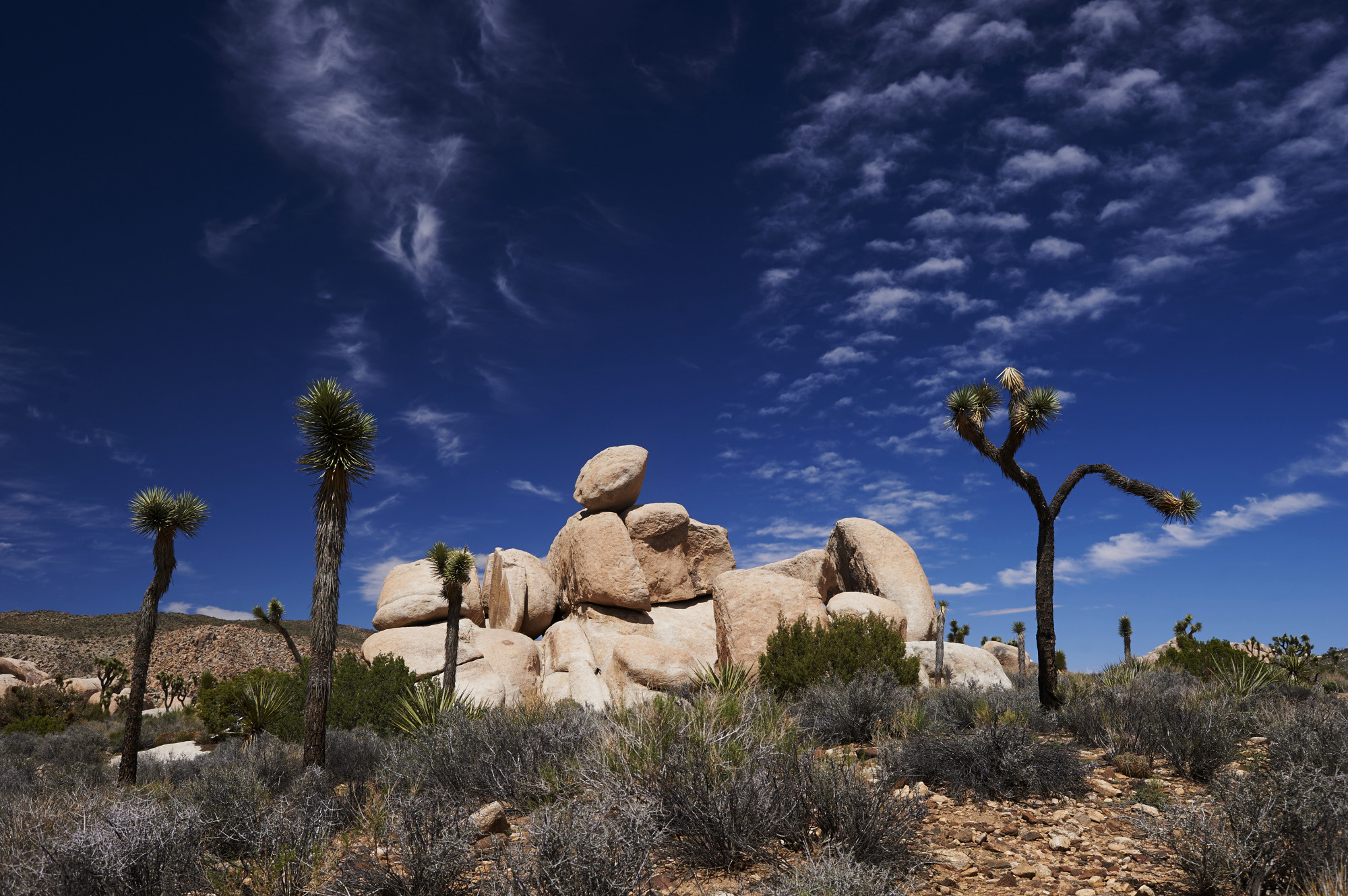 Joshua Tree National Park, A Mad Trip, Adventure awaits, Nature's wonder, 2000x1330 HD Desktop