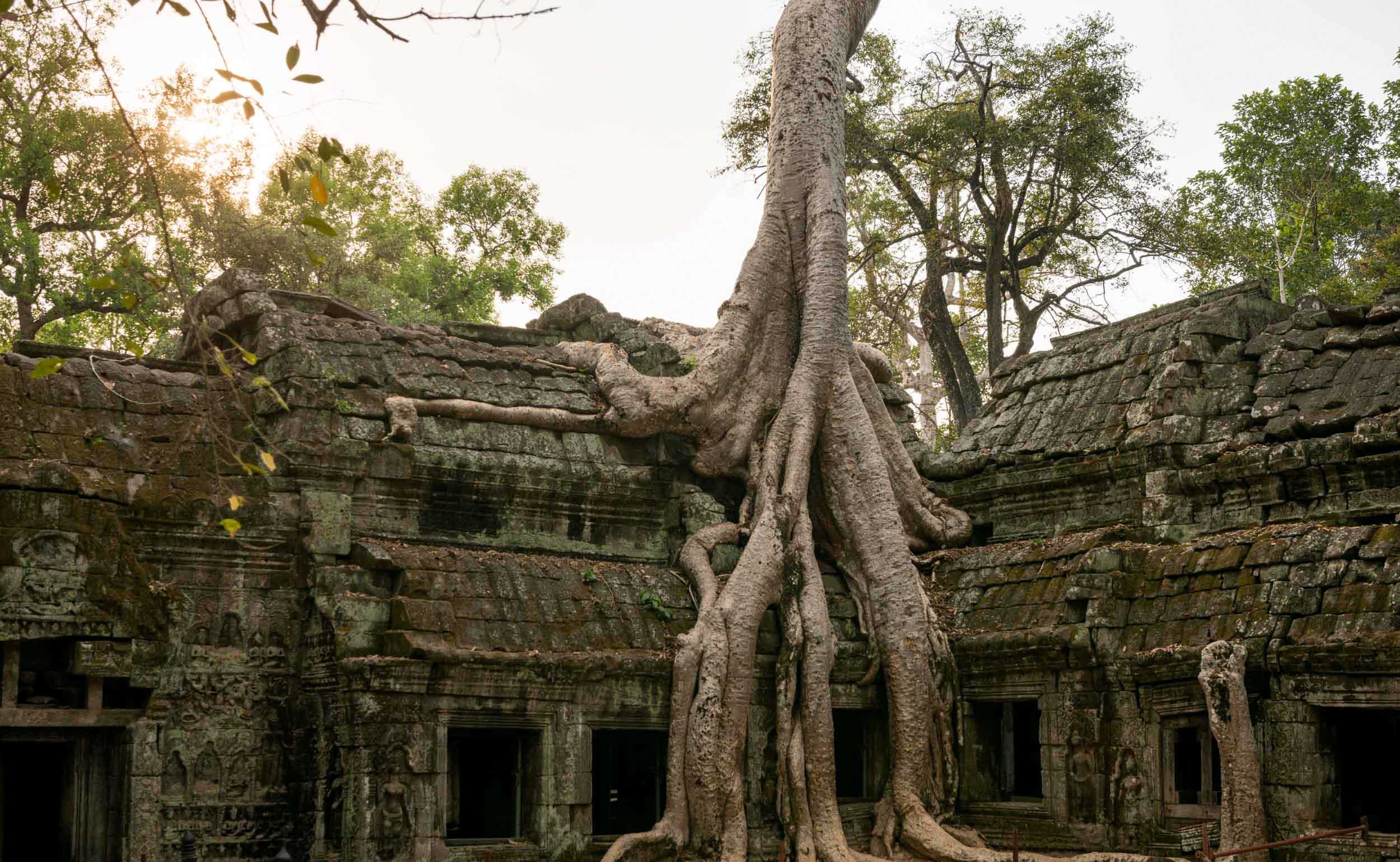 Buddhist monk portrait, Angkor Siem Reap, Cambodian spirituality, Asian culture, 2500x1540 HD Desktop