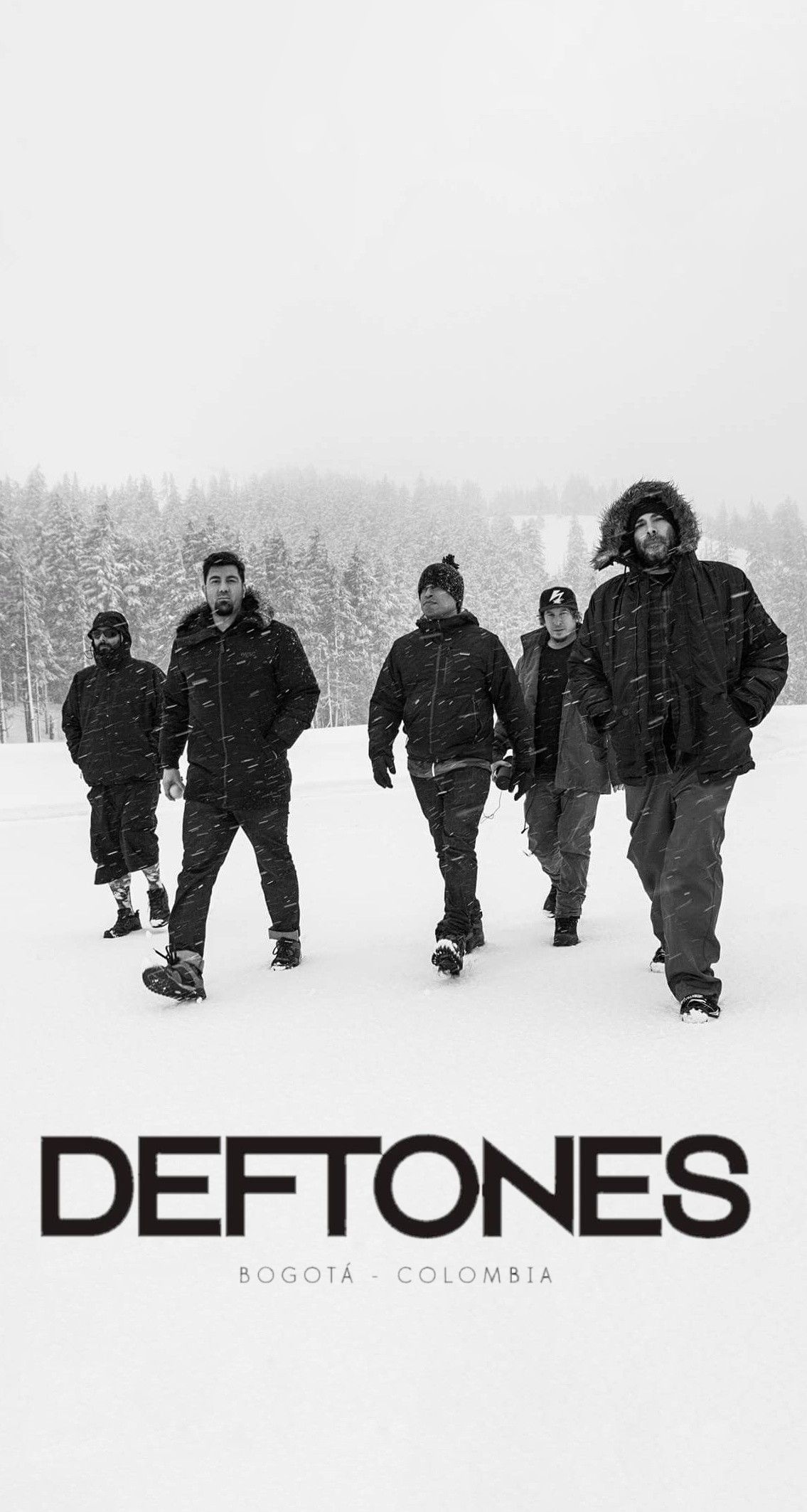 Poster, Deftones (Band) Wallpaper, 1140x2130 HD Phone