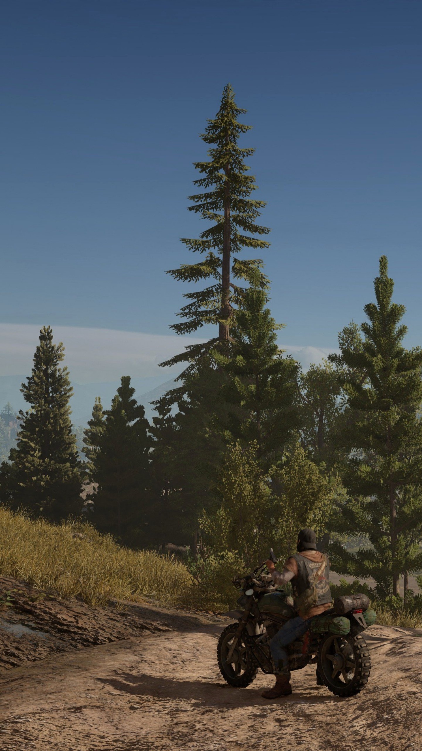 Deacon St. John, Drifter motorcycle, Oregon pine forest, HD Phone wallpaper