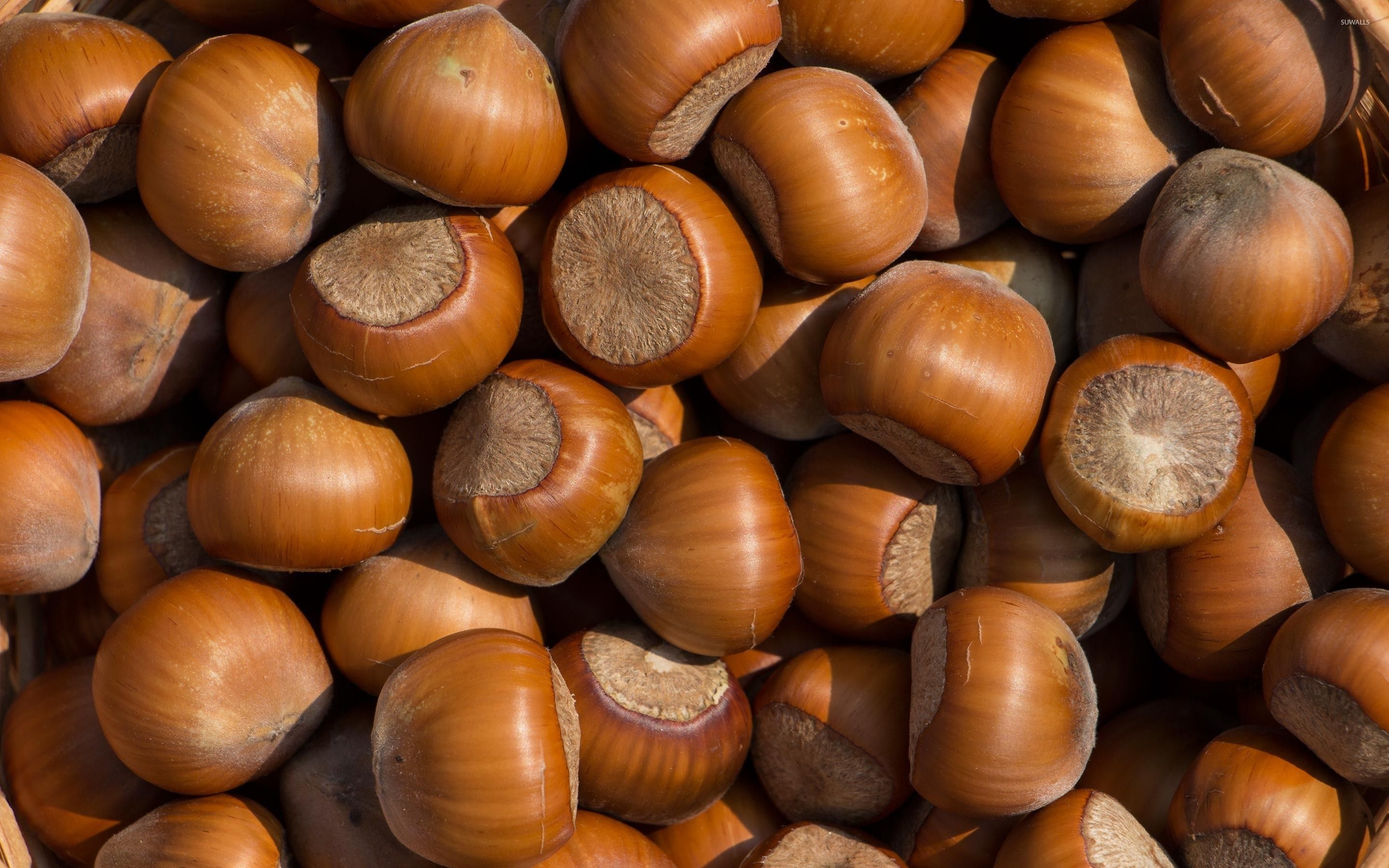 Hazelnuts, Wallpaper delight, Nutty admiration, Picture perfect, 2880x1800 HD Desktop