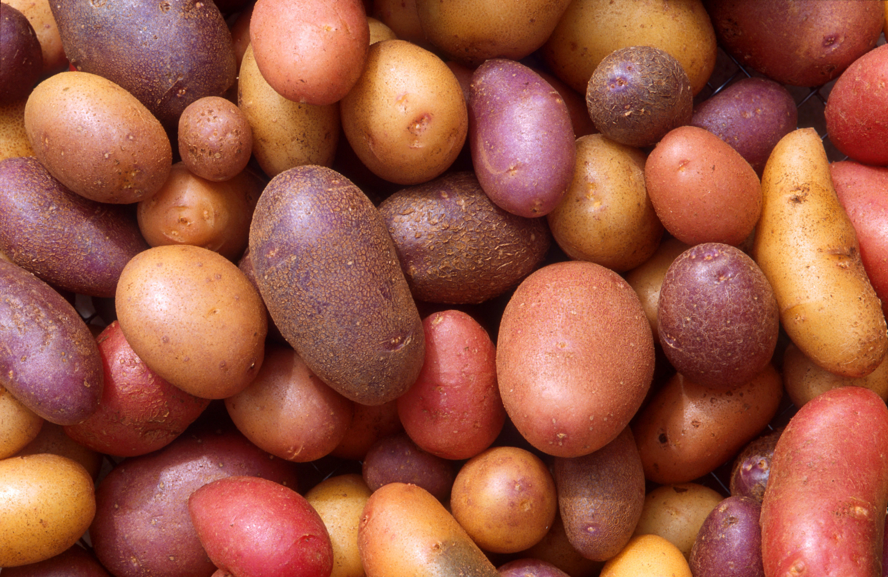 Potato wallpapers, High definition, Background images, Digital display, 2870x1870 HD Desktop