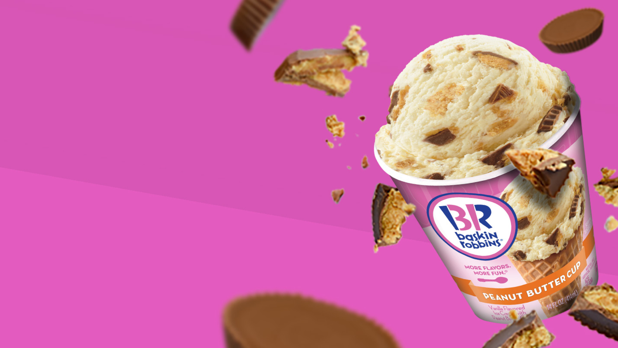 Baskin Robbins frozen treats, Digital work portfolio, Harlo interactive, Portfolio, 2560x1440 HD Desktop