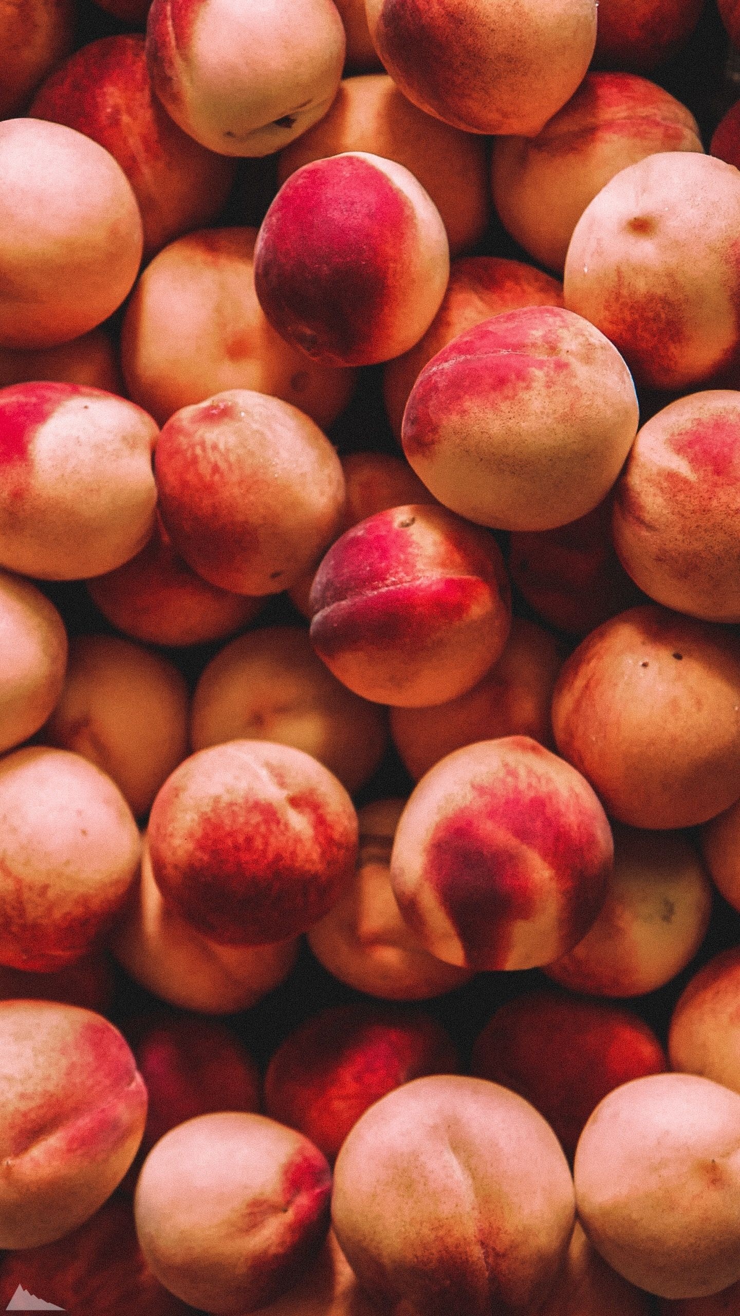 Peach food wallpapers, Phone and iPhone display, HD quality, Crisp and vibrant visuals, 1440x2560 HD Phone